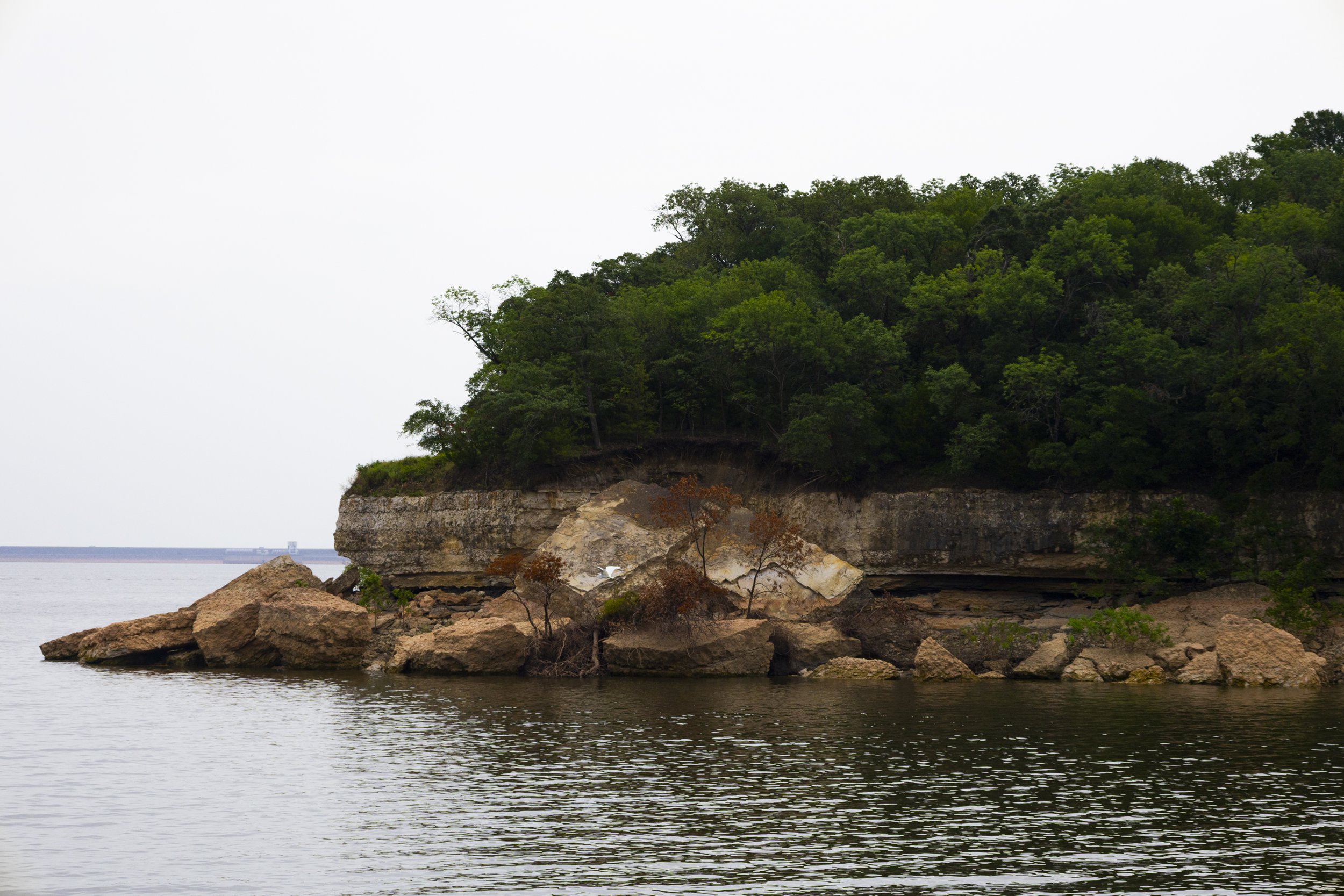 Stewart_Landscape-2.jpg