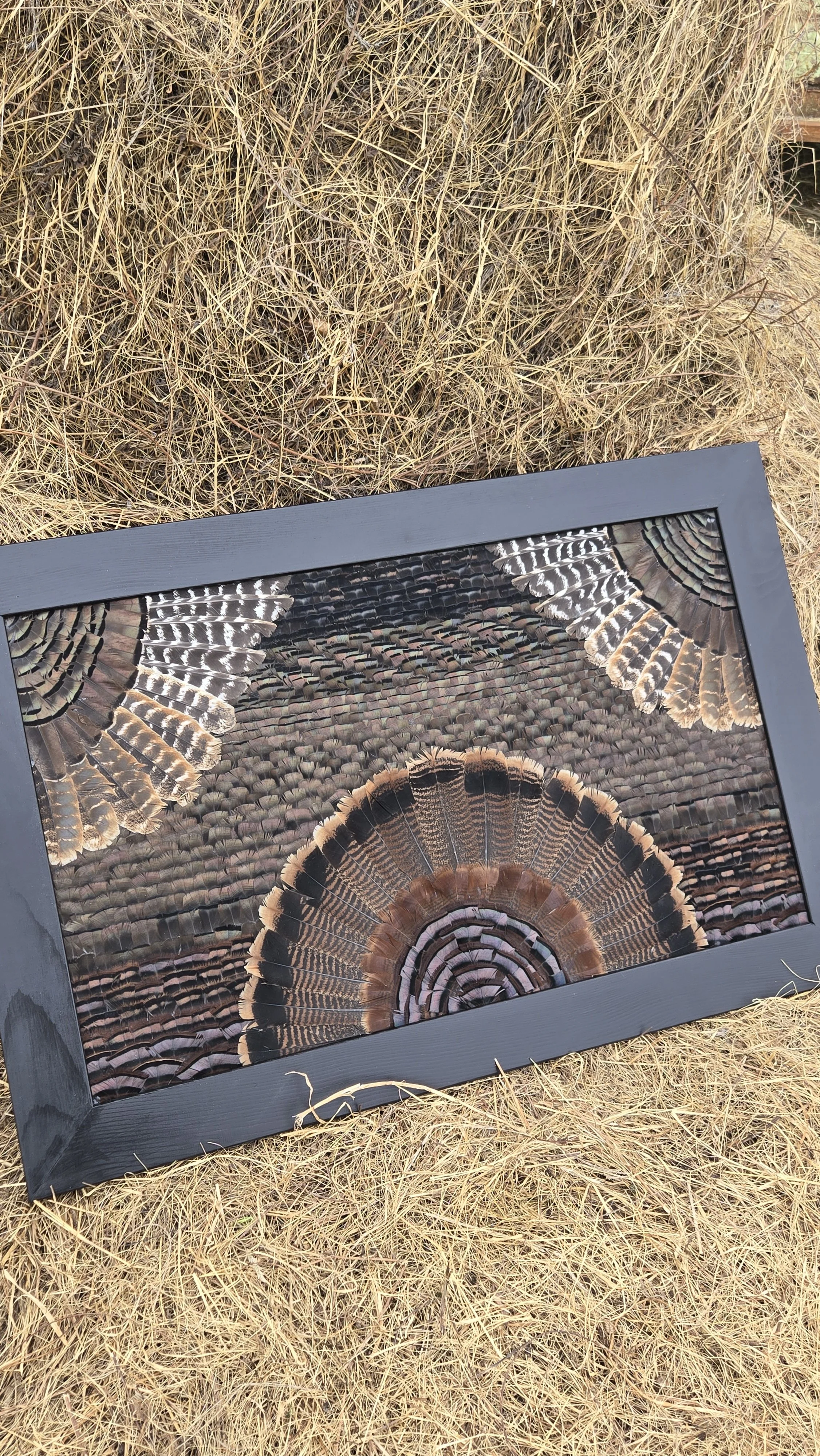 Turkey Feather Art near Kansas City MO. 