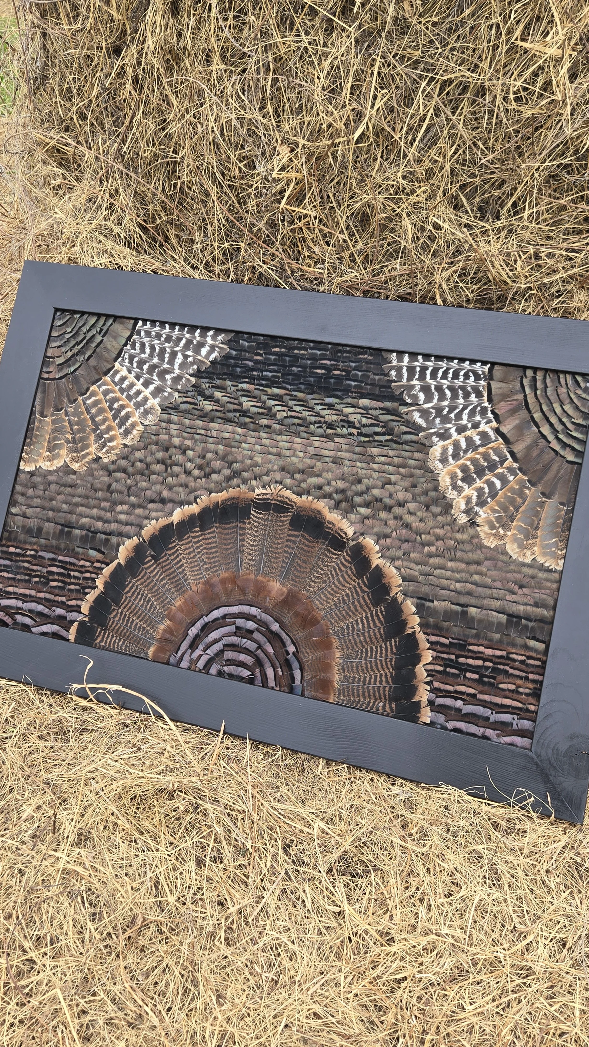Turkey Feather Art near Kansas City MO. 