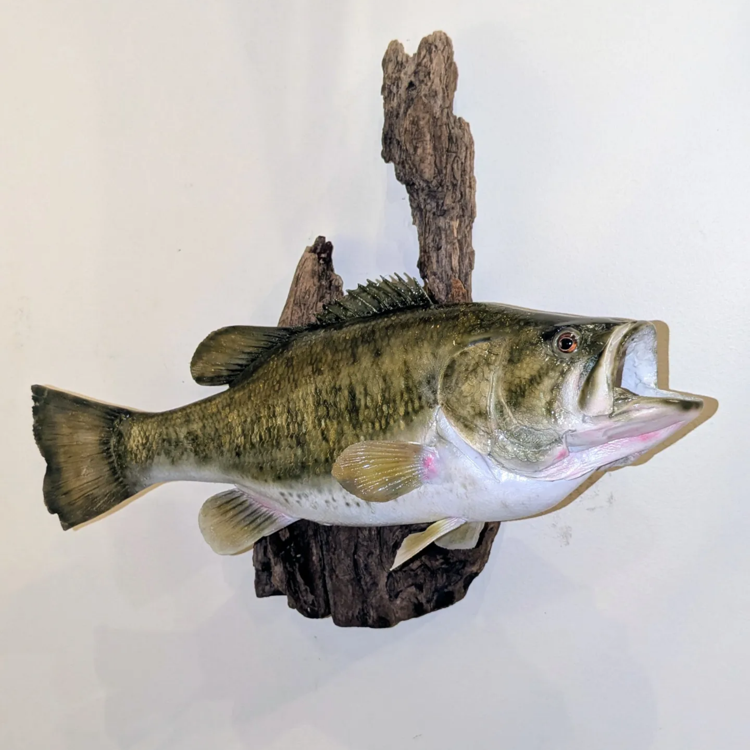 sni-a-bar taxidermy (5).png