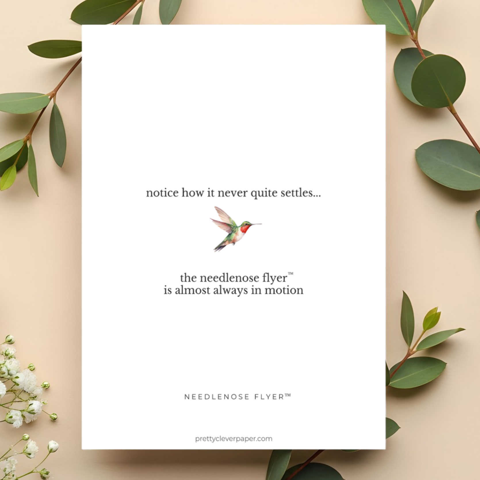 hummingbird greeting card known as needlenose flyer™