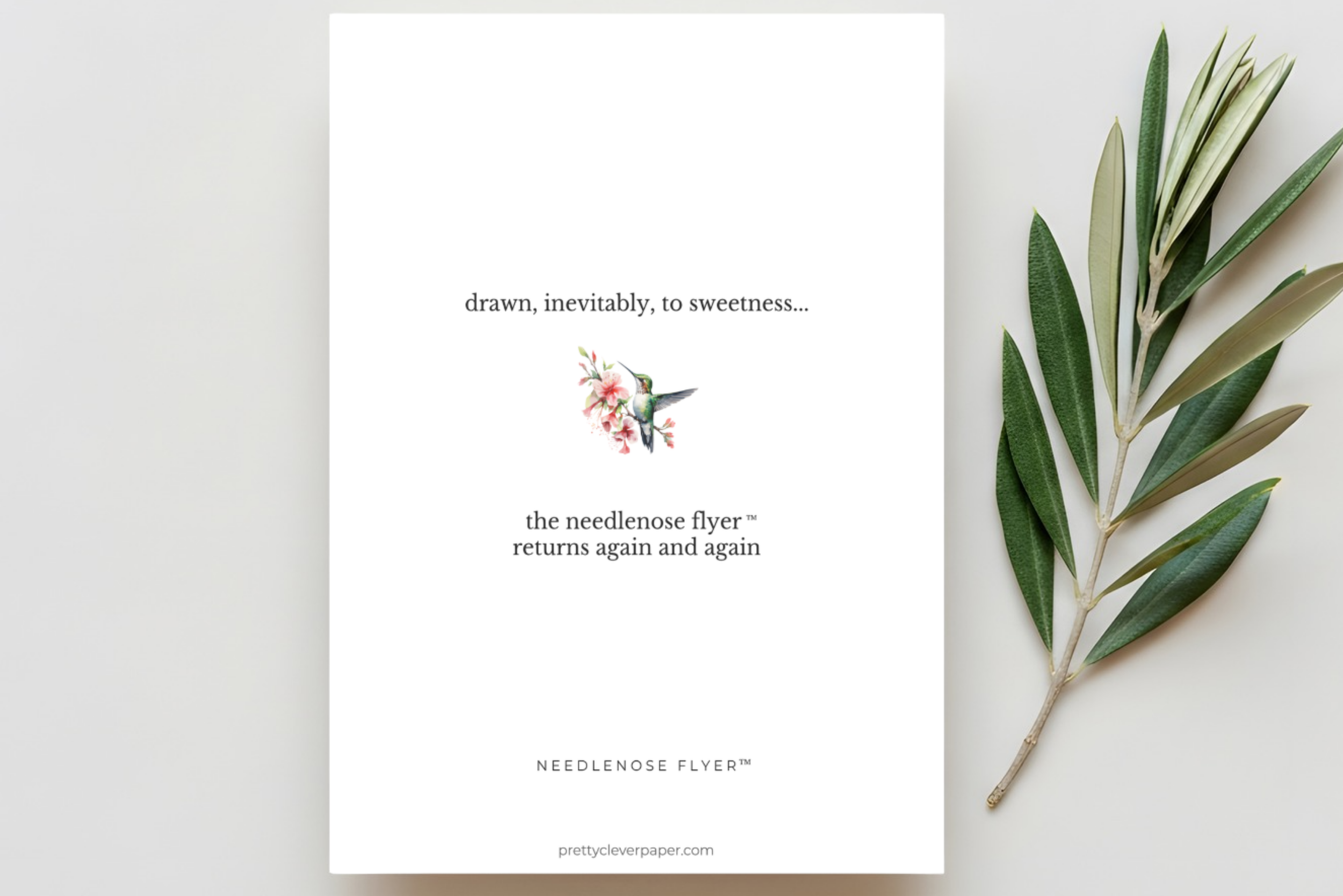 Hummingbird greeting card known as needlenose flyer™