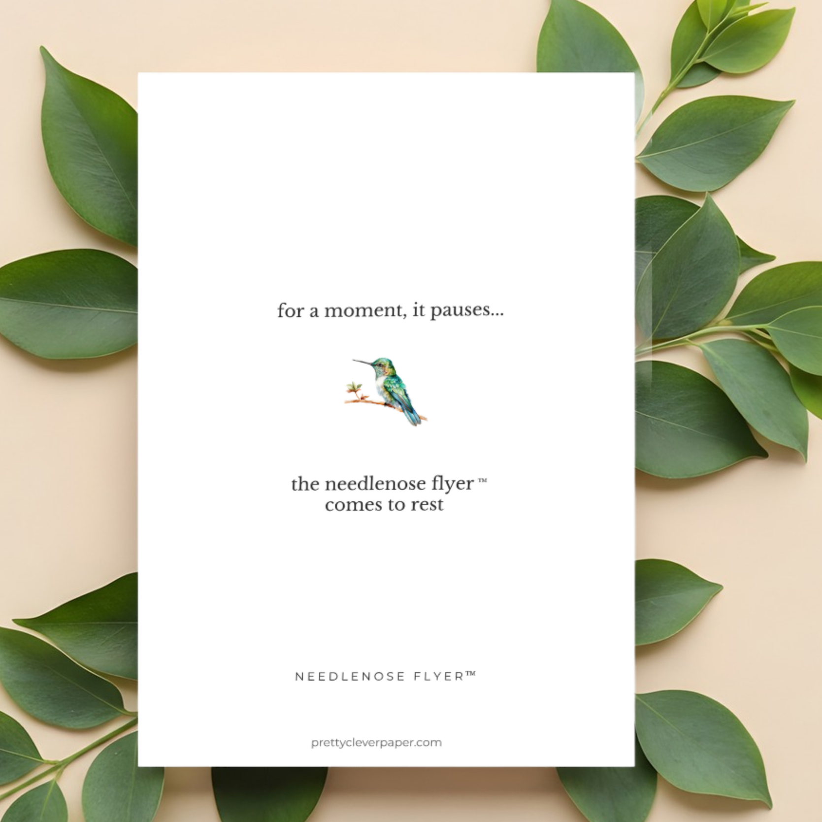 Hummingbird greeting card known as needlenose flyer™