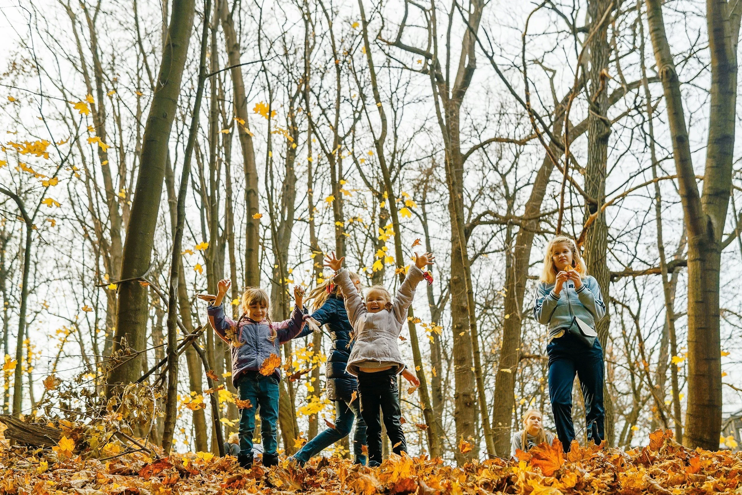 A Sober Fall: Free Family Activities for Parents in Recovery