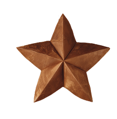 A brown, three-dimensional star-shaped object, possibly made of wood or metal.