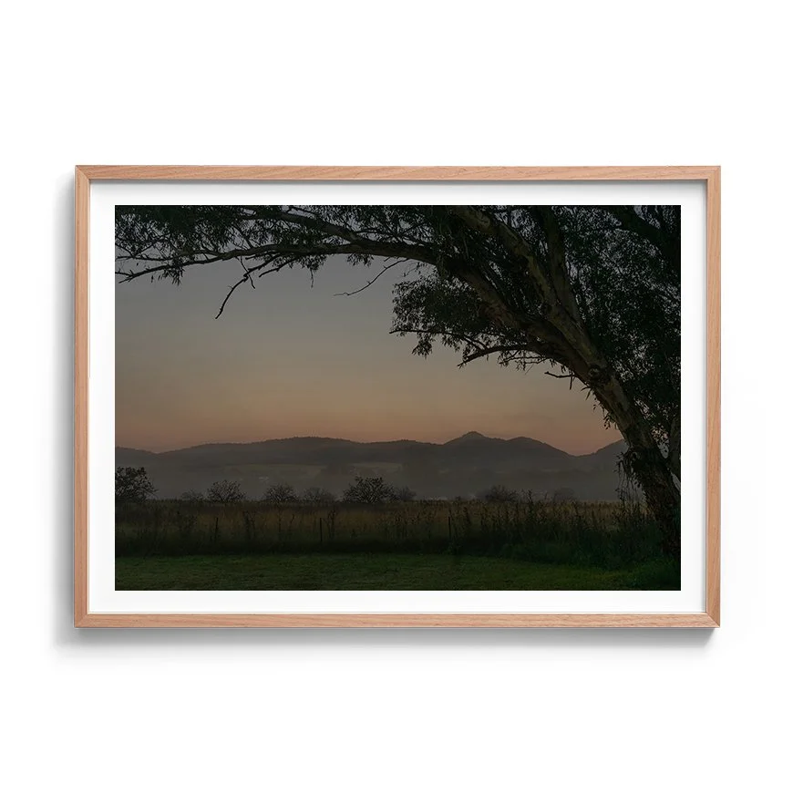 Morning Mist | Tamworth