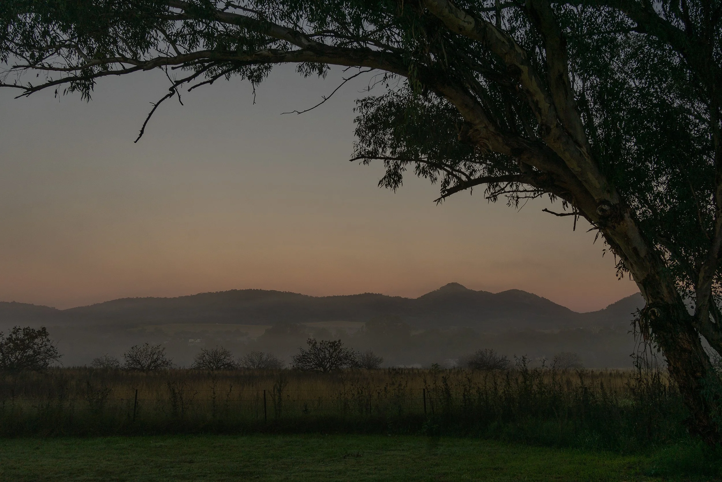 Morning Mist | Tamworth