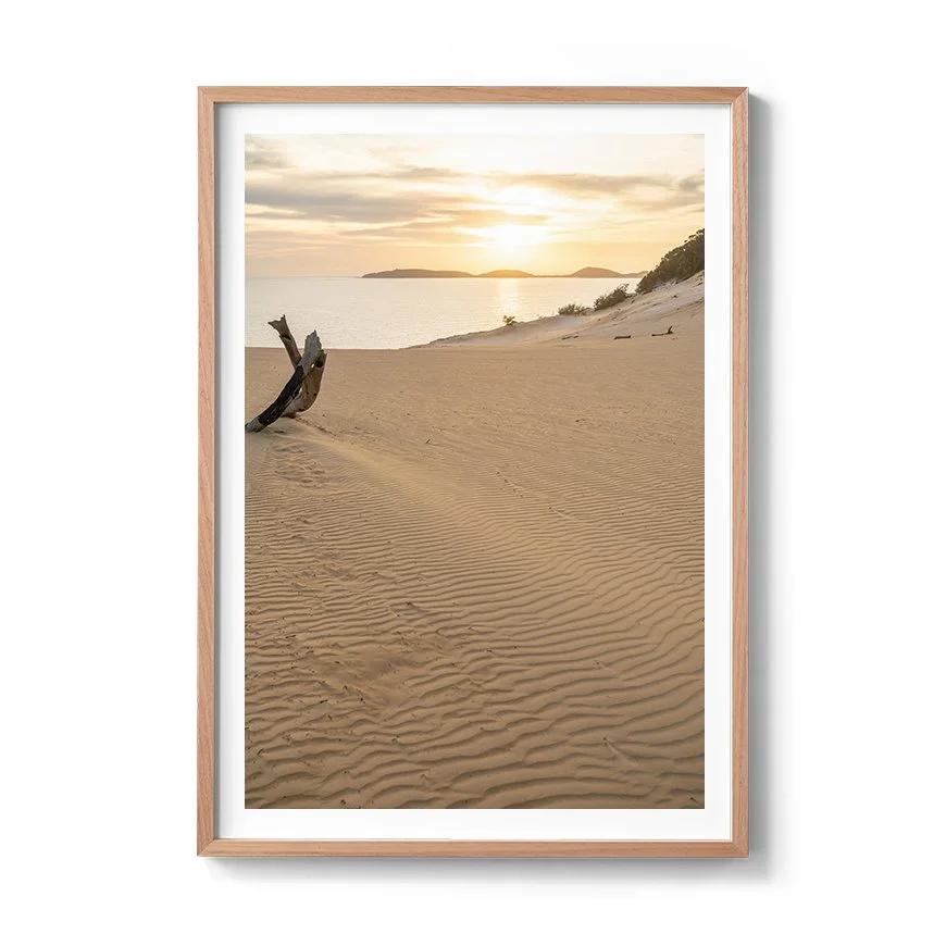 WSP_frame_mock_up_landscape copy.jpg