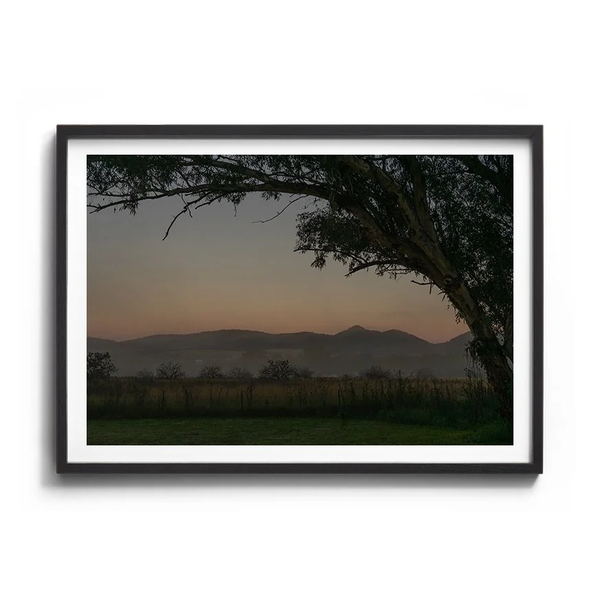 Morning Mist | Tamworth