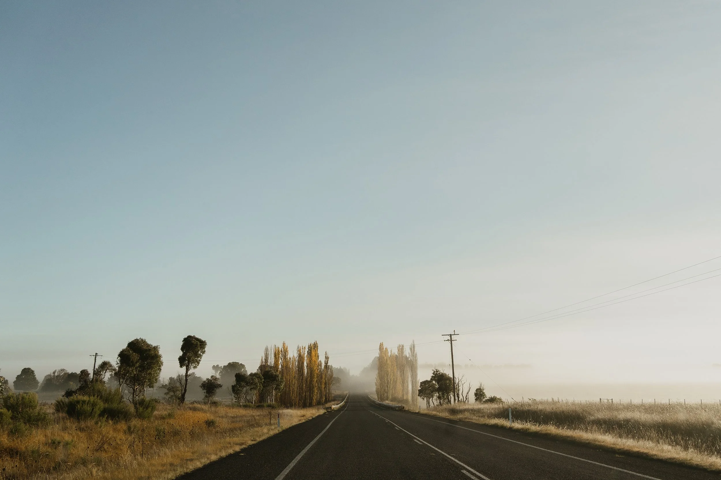 Foggy Road | Rural NSW
