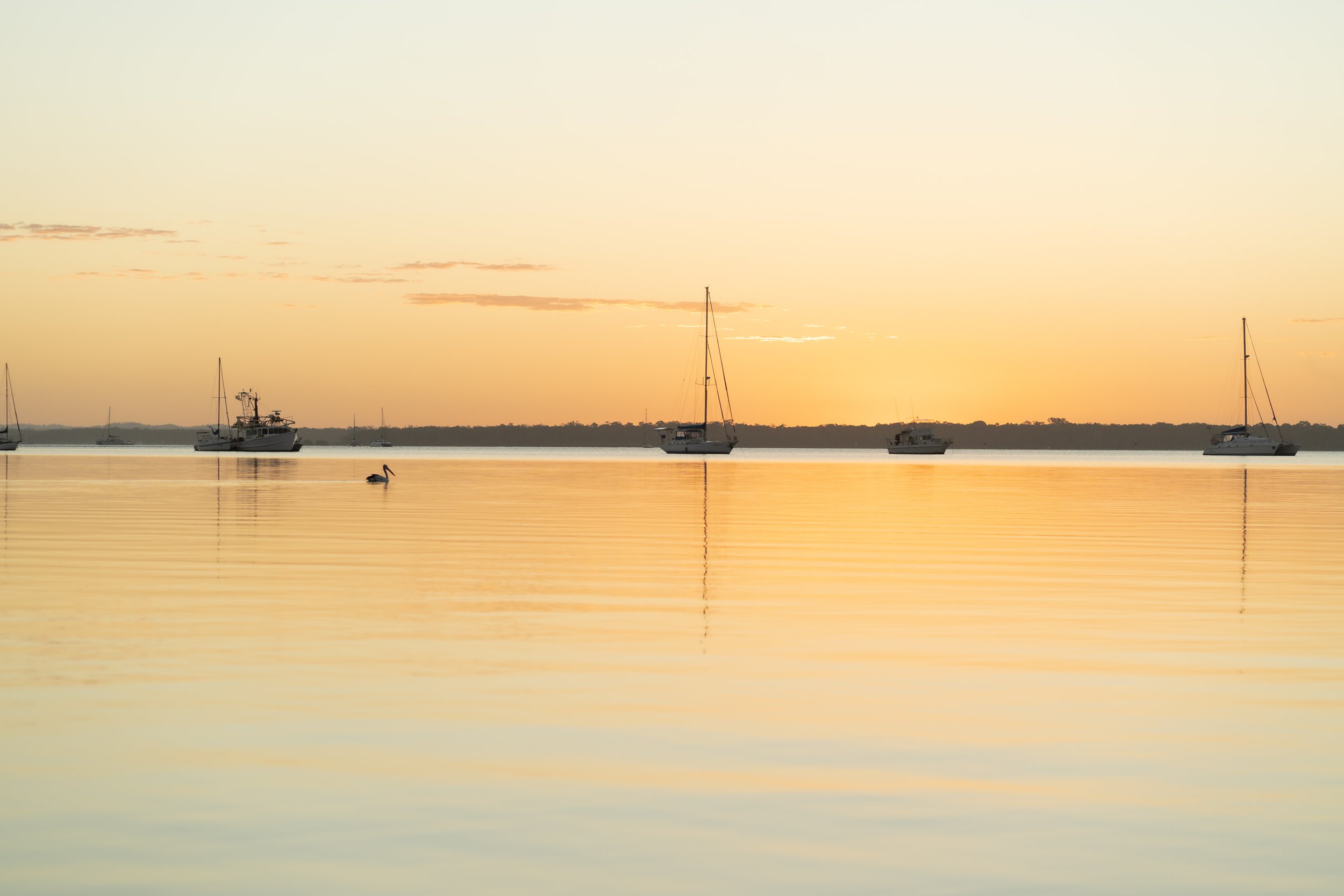 Last Light | Carlo Point Marina