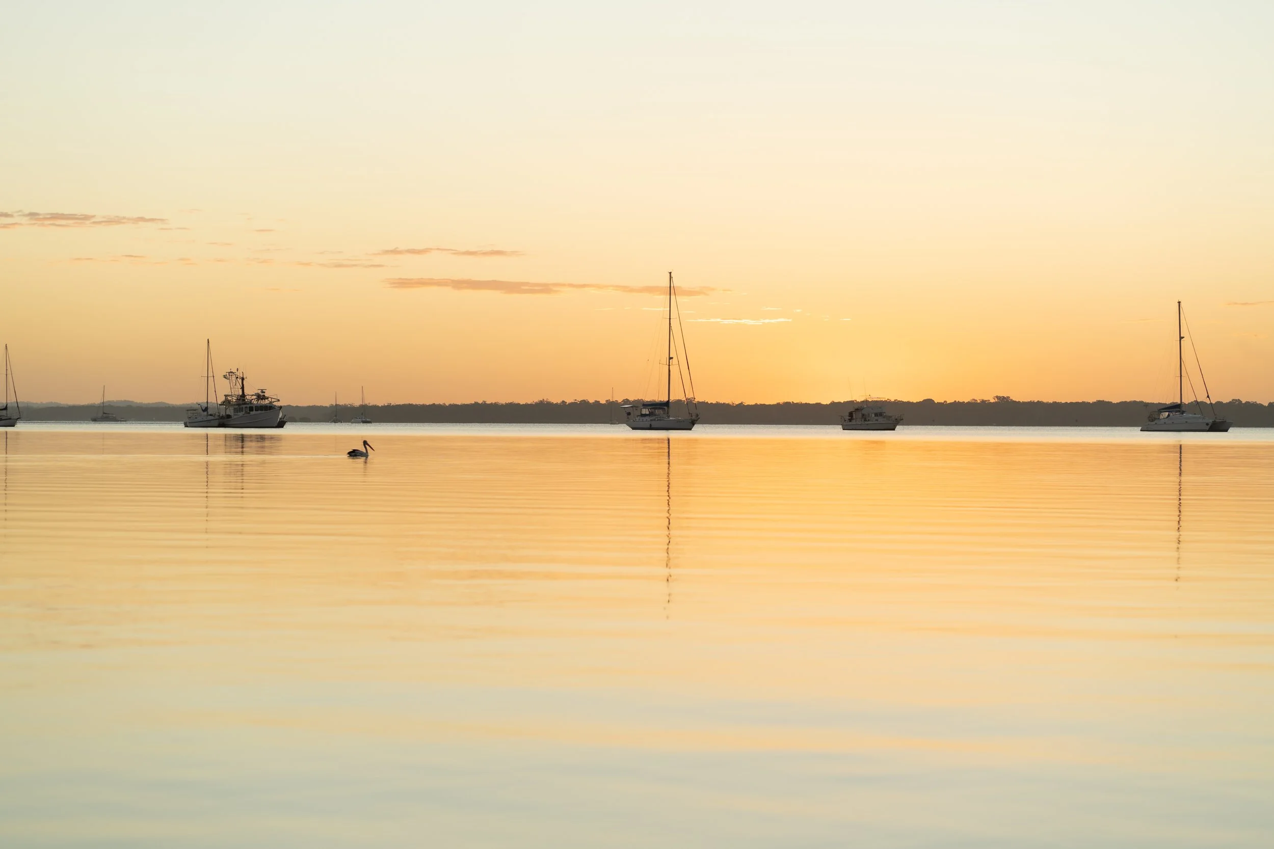 Sailboats and a motorboat are anchored on calm water during sunset, with a single duck swimming nearby.