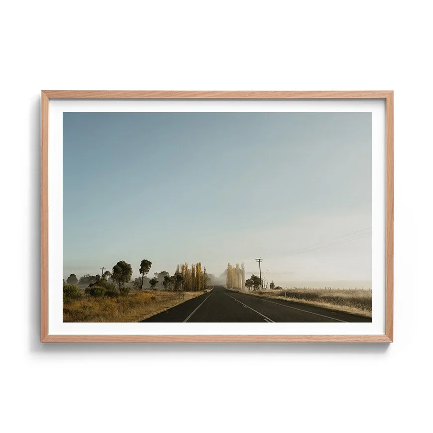 Foggy Road | Rural NSW