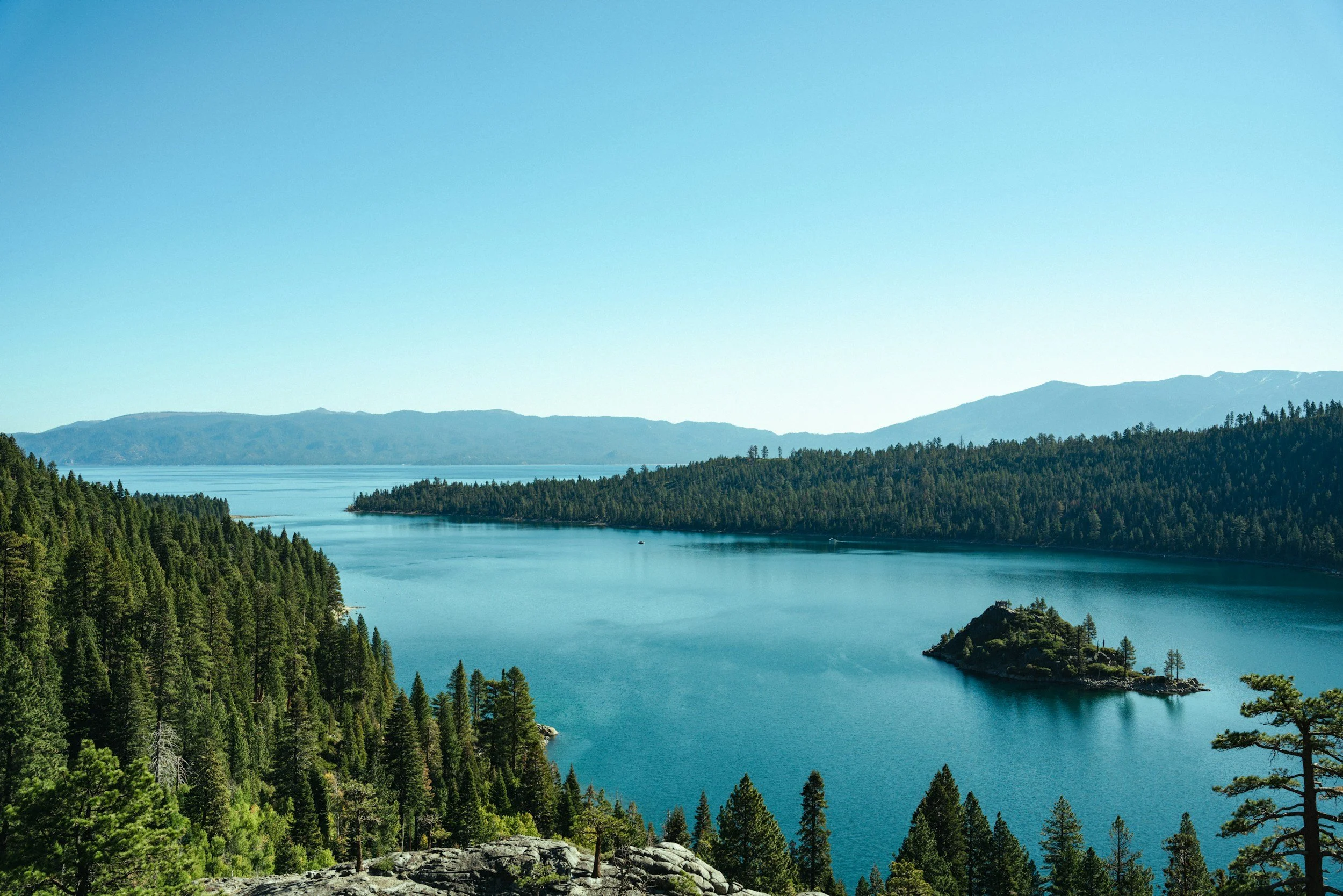 A scenic view of a large body of water surrounded by dense green pine trees and distant mountains under a clear blue sky.