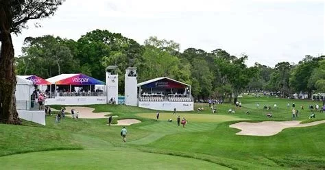 IMG_0809.jpeg