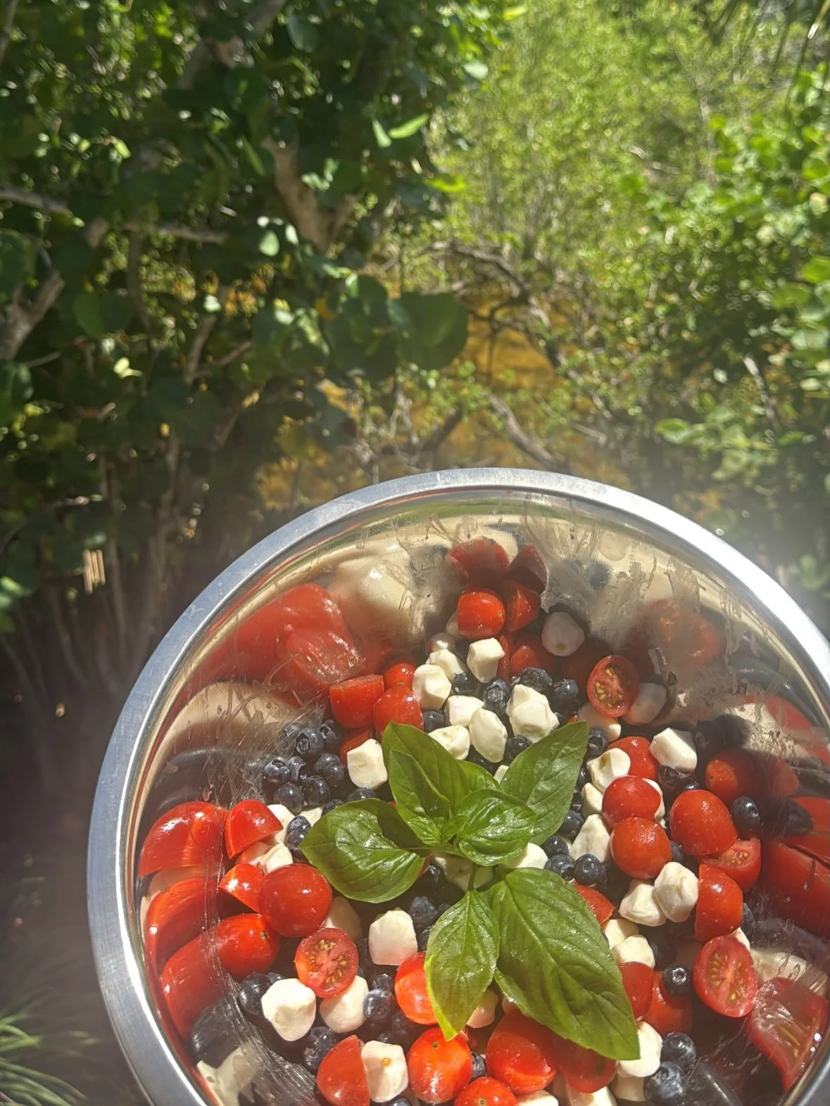Happy 4th of July! 🇺🇸

The sweet basil featured in this Caprese Salad is directly from our Sanibel garden. All of our basil plants are loving the heat and humidity that Sanibel summers bring! 

Our shop opens 4 months from tomorrow 🎉