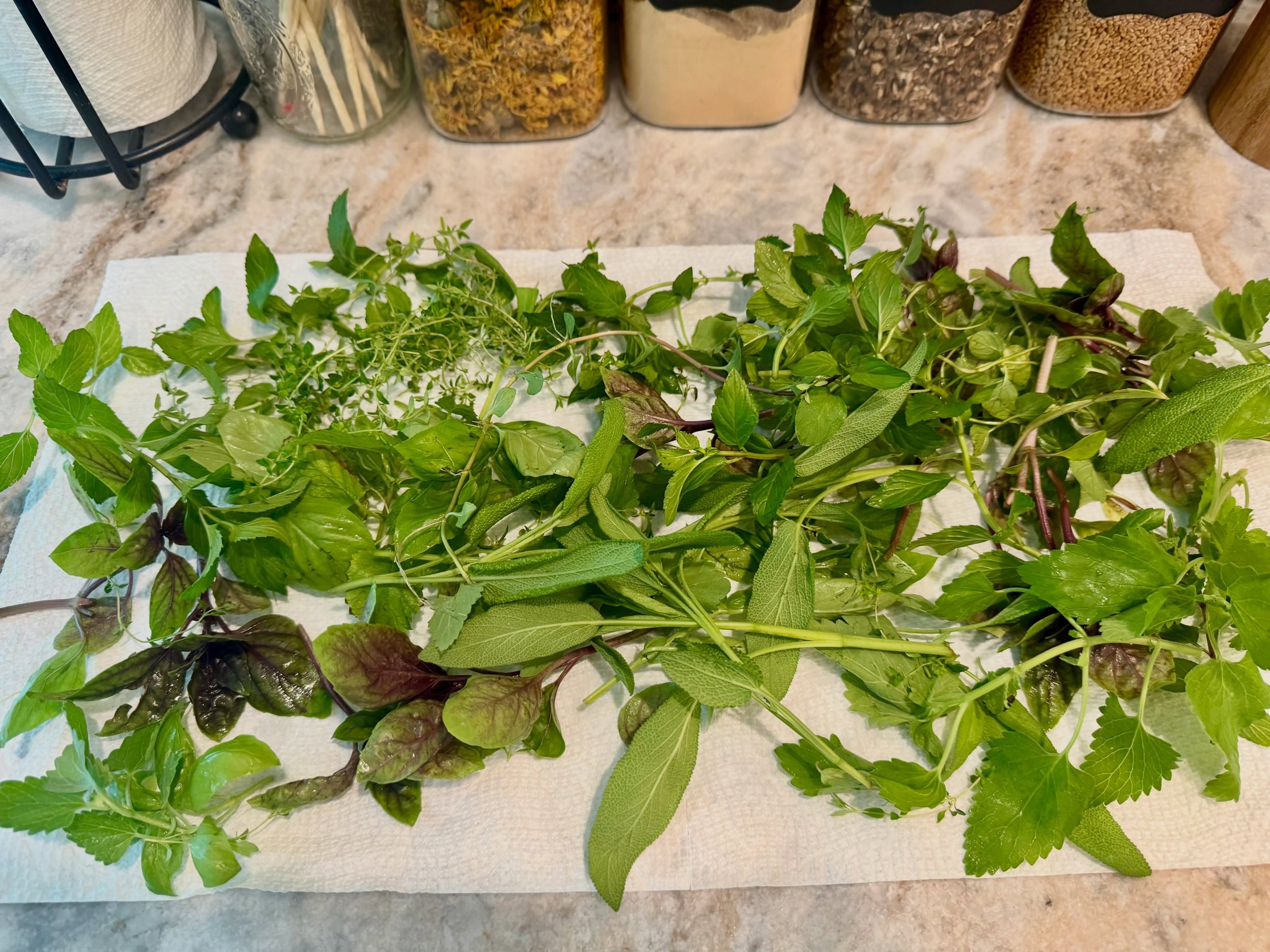 Sanibel harvest trivia! 

Can you tell me what herbs you spy? 
🤓🔎