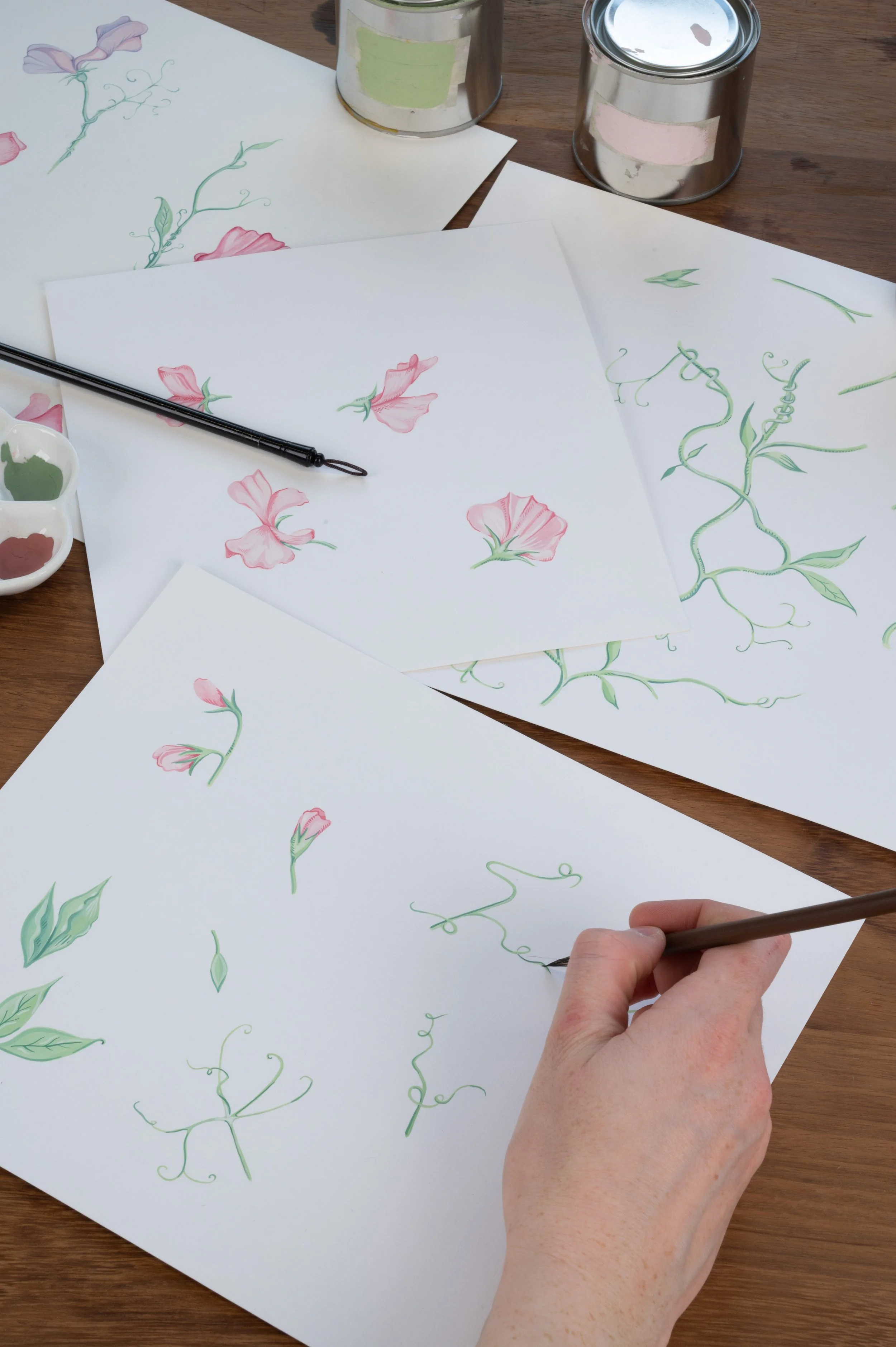 "Climbing Sweet Peas"