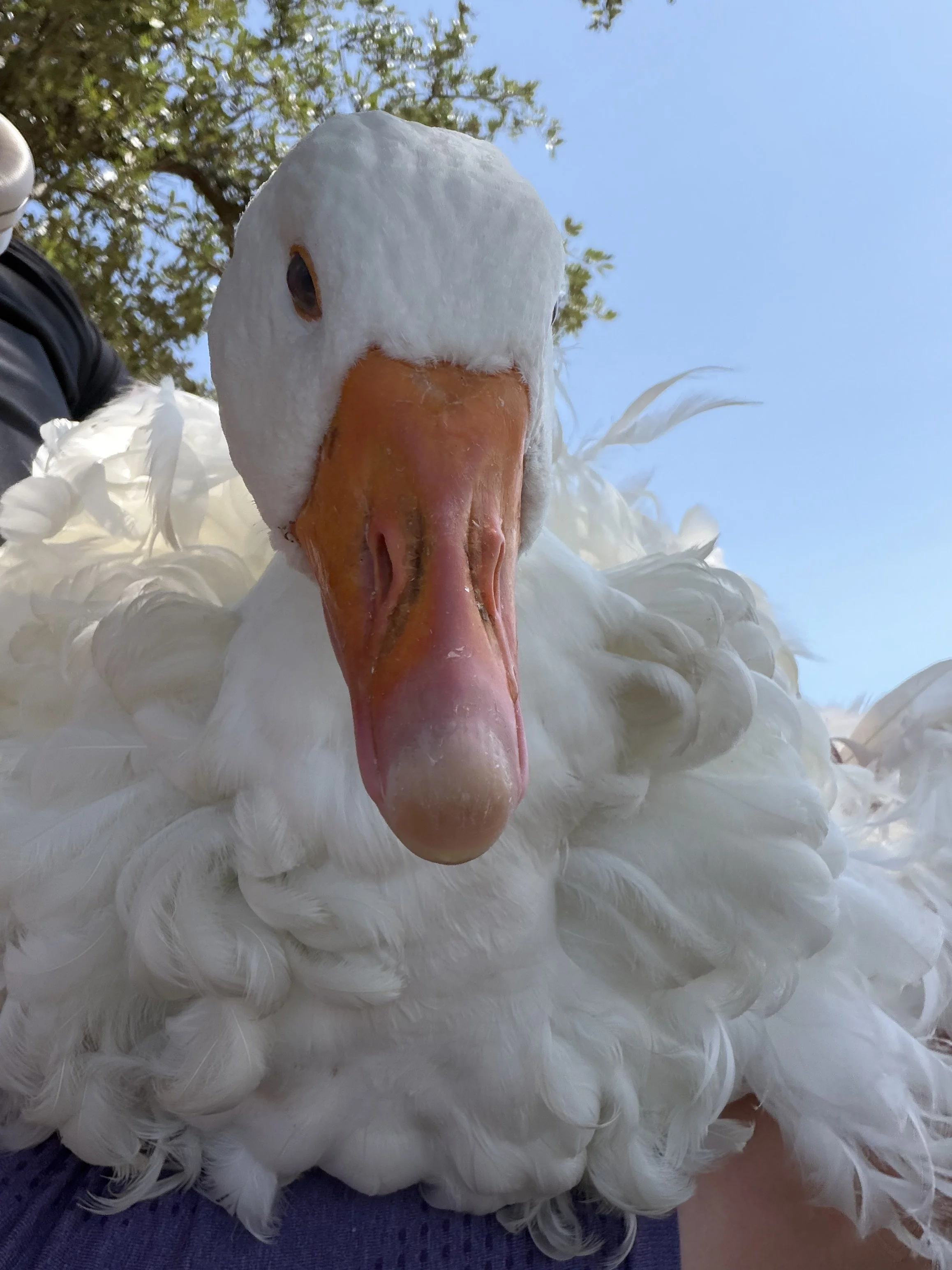 IMG_7728.jpeg