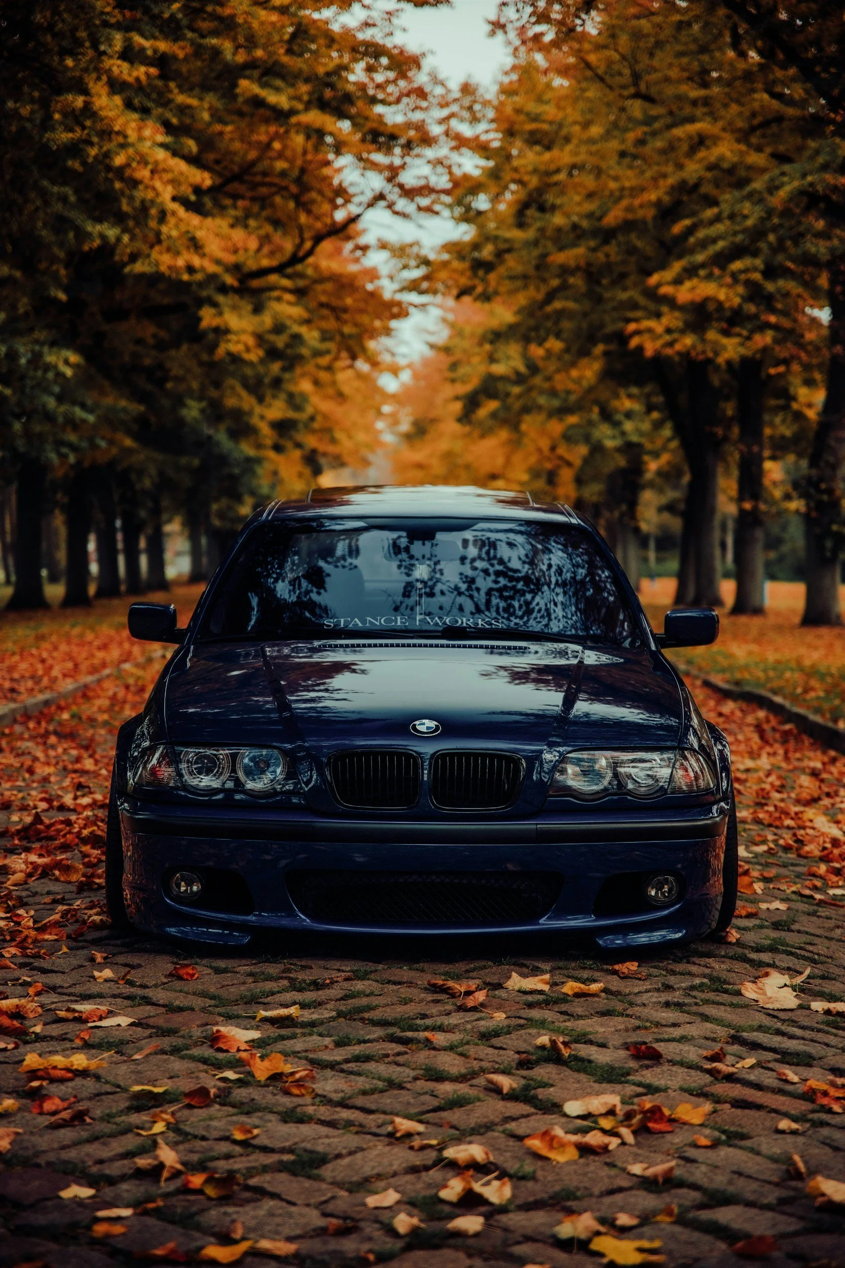 A black E46 BMW car parked on a cobblestone street covered with fallen autumn leaves, with a background of trees showing orange and yellow foliage.