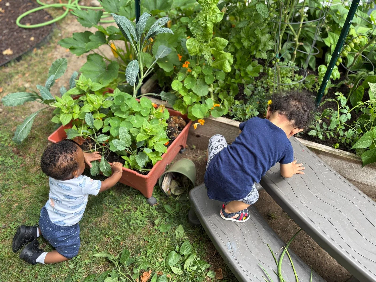 Two young children gardening in a backyard. One child is kneeling on the grass near a large planter filled with green plants, while the other child is perched on a bench next to the planter, reaching into the soil.