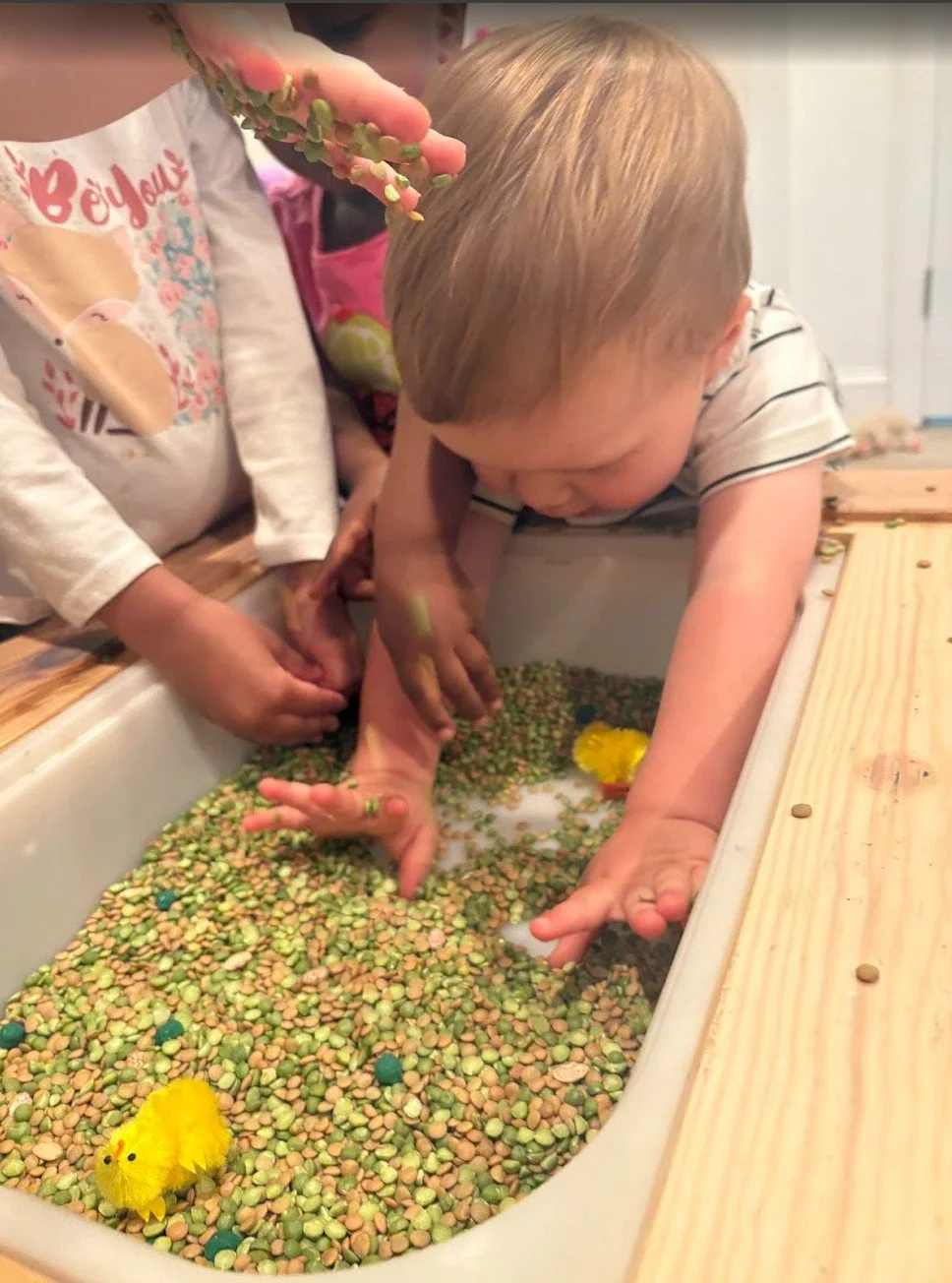 A young boy is leaning over a sensory bin filled with dried beans, with plastic rubber ducks and small toys. An adult and another child are nearby, with the adult holding the standing child's hand. The scene appears to be a playful or therapeutic activity.