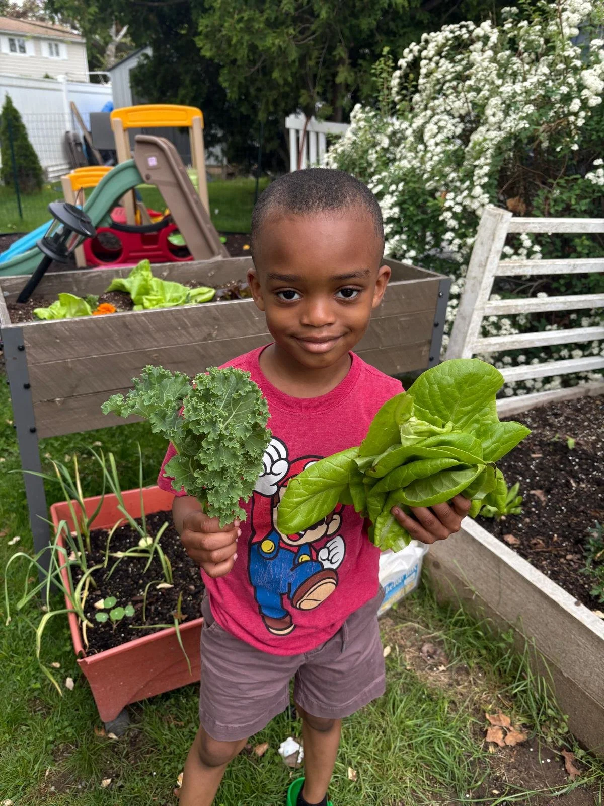 Young boy standing outdoors in a garden, holding fresh kale and lettuce, with garden beds and a sandbox in the background.