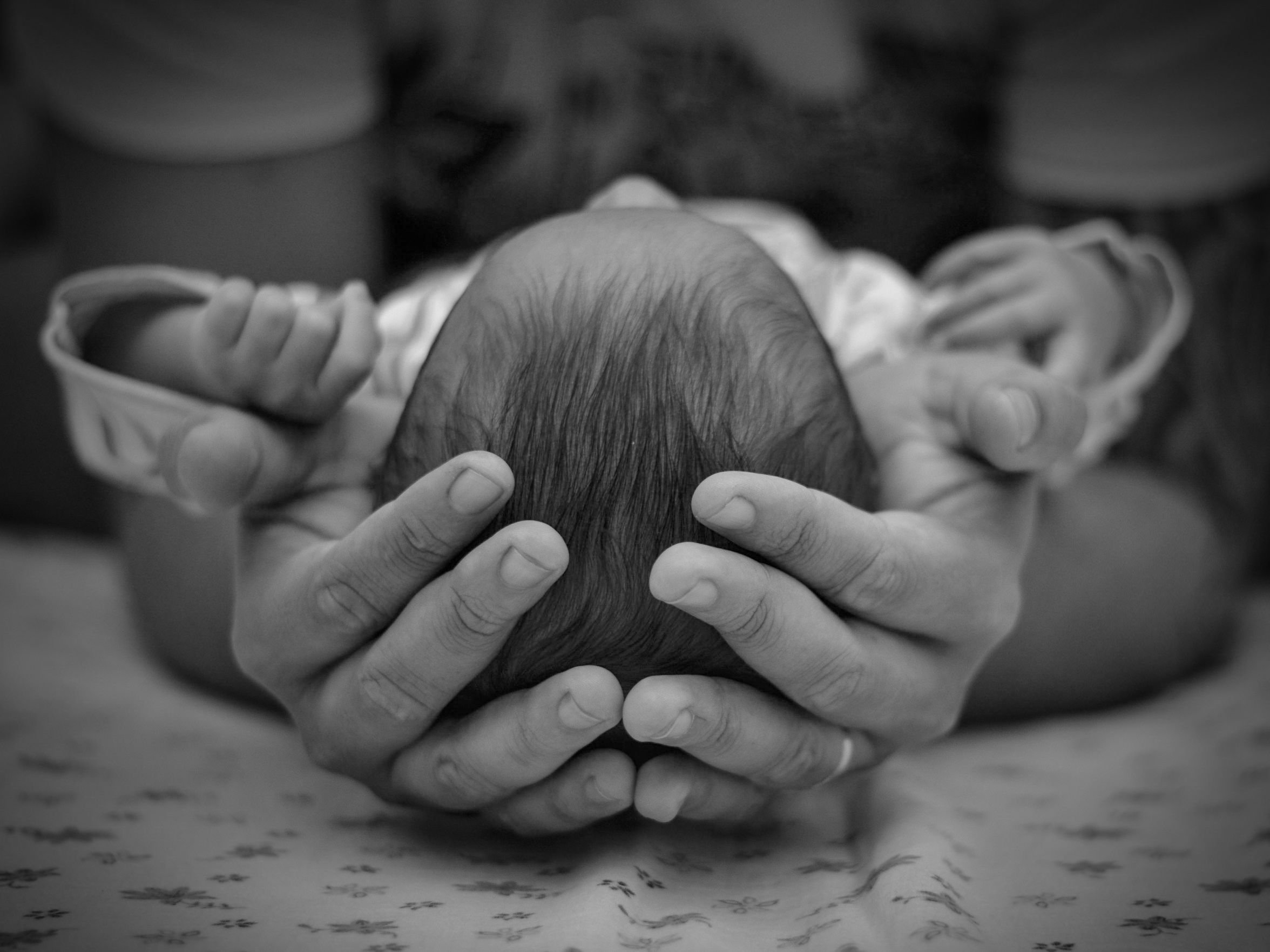 A close-up black-and-white image of a newborn baby held gently by adult hands, with the focus on the baby's head and hands cradled in the adult's palms.