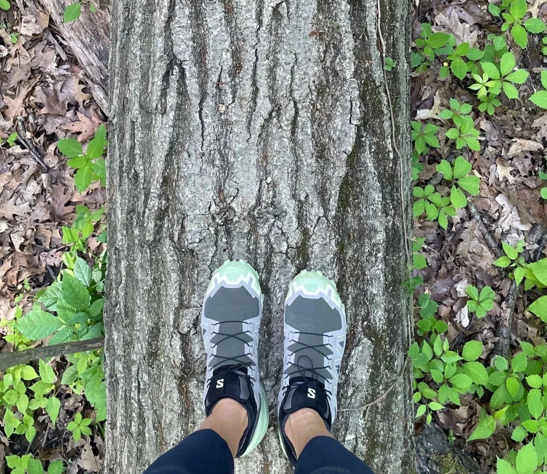 Reflections from the journey