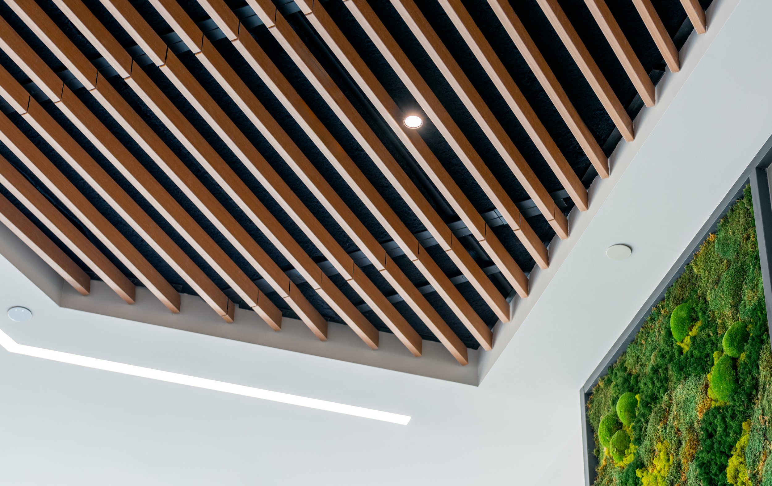 Ceiling with wooden slats and built-in lighting, next to a wall with greenery.