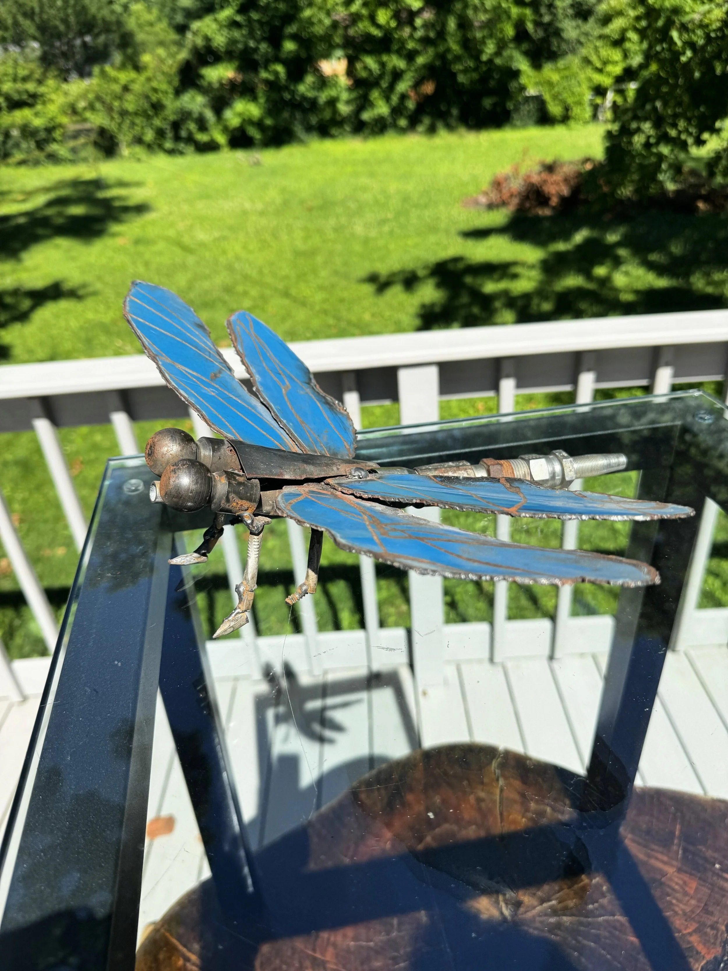 dragonfly1.JPG