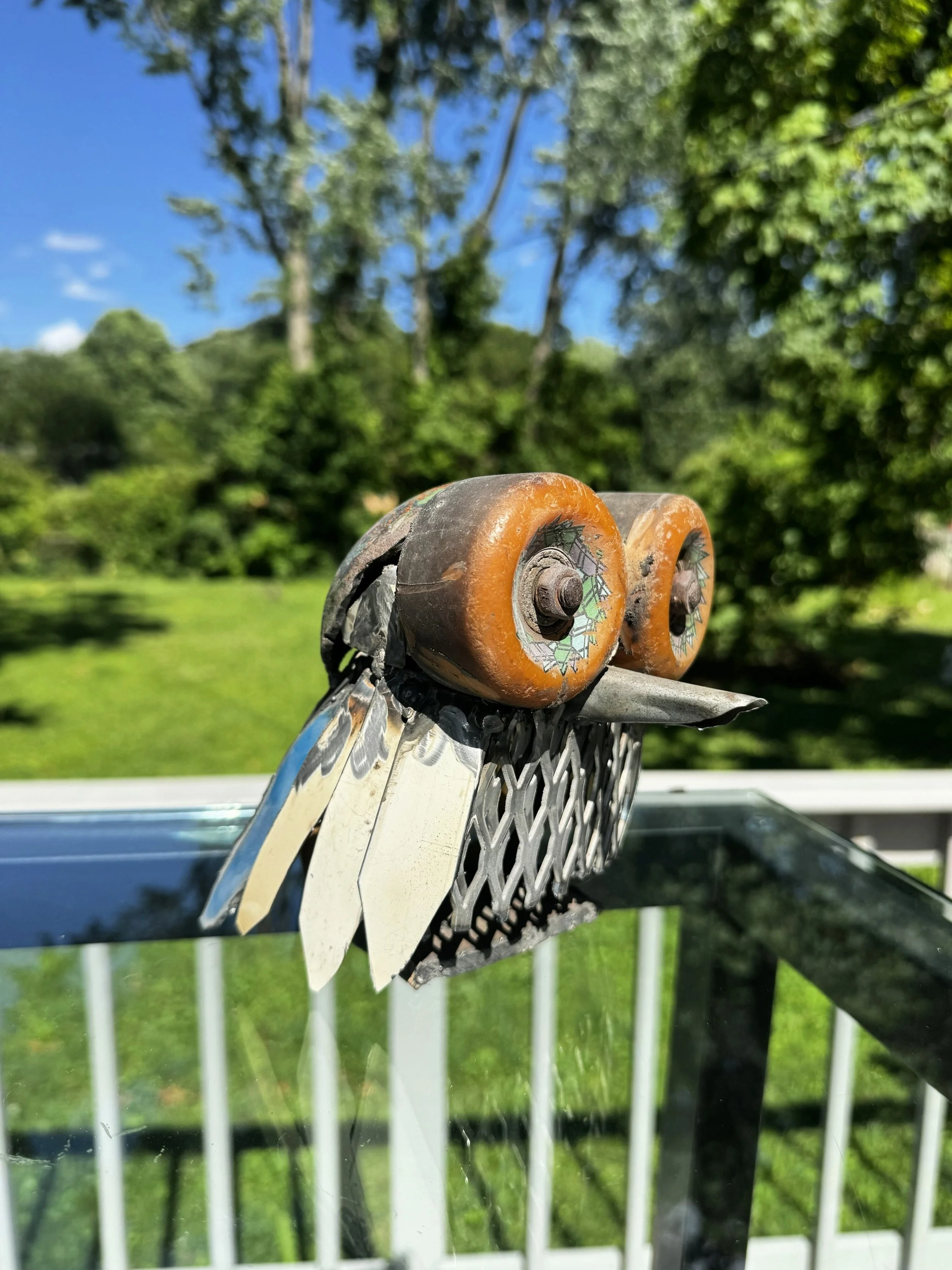 owle1.JPG