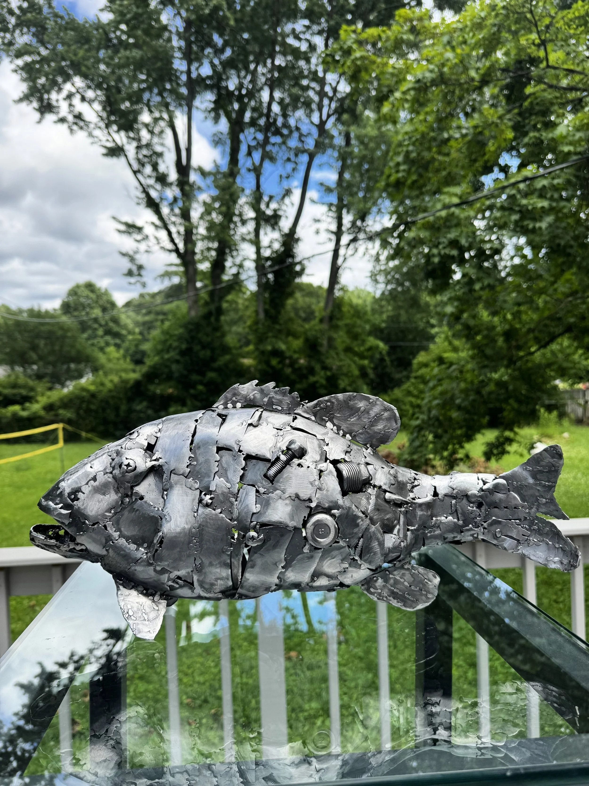 Smallmouth1.JPG