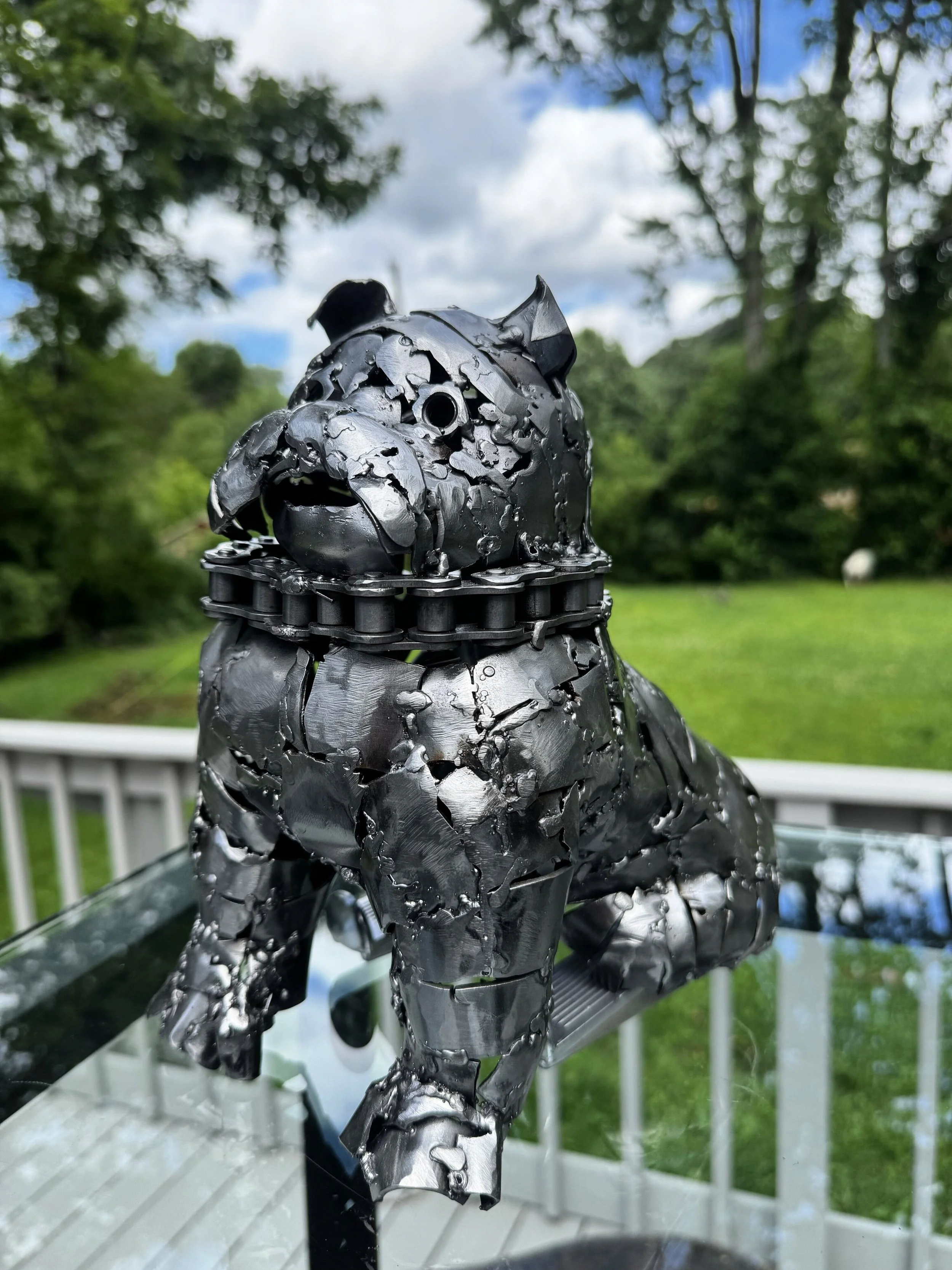 Bull Dog 1.JPG