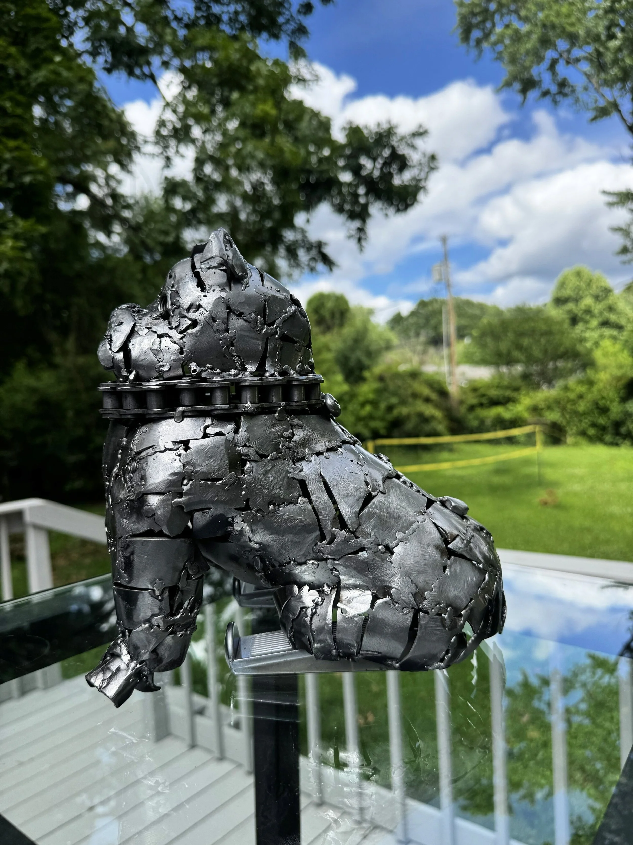 Bull Dog 2.JPG