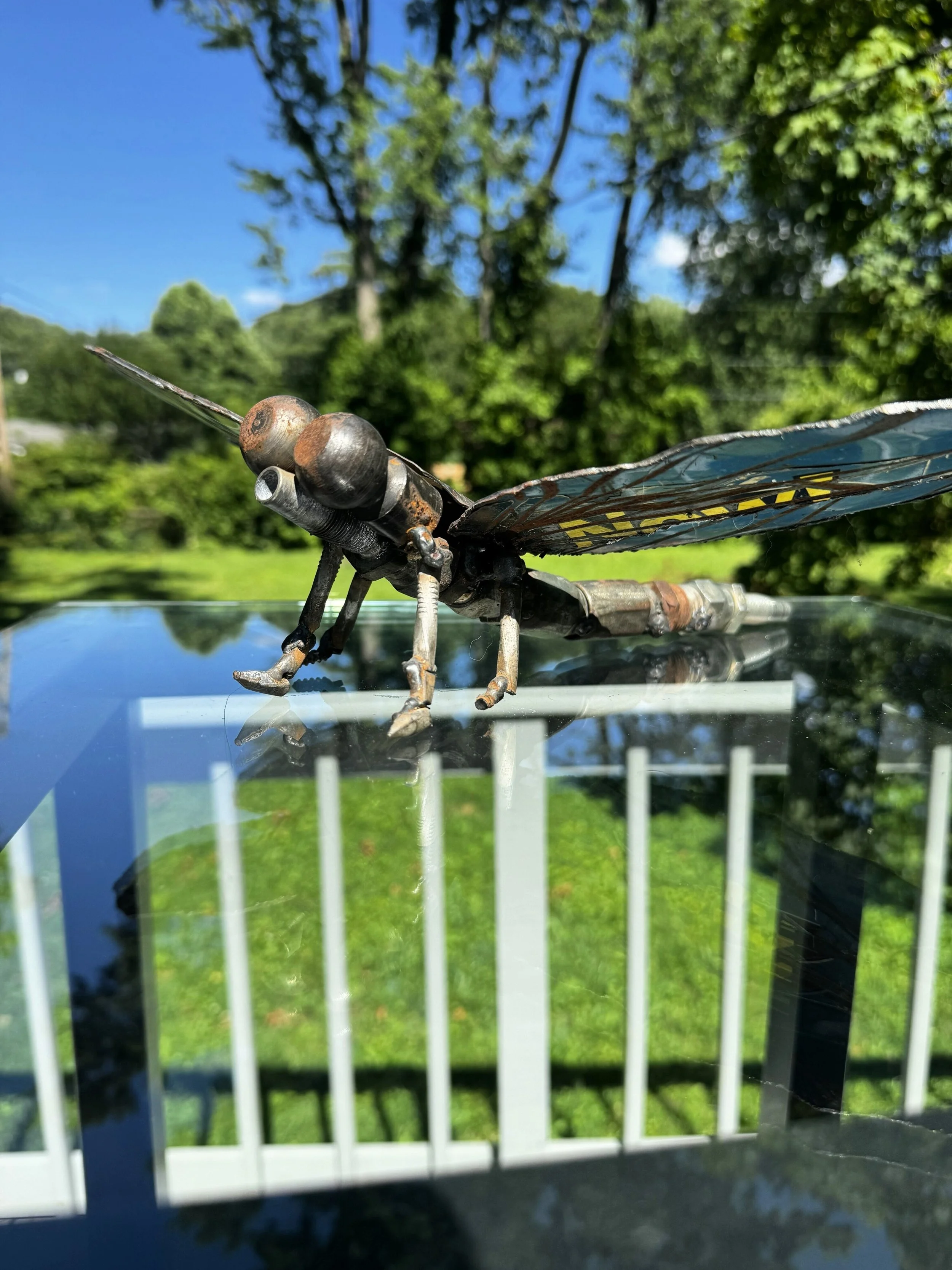 Dragonfly2.JPG