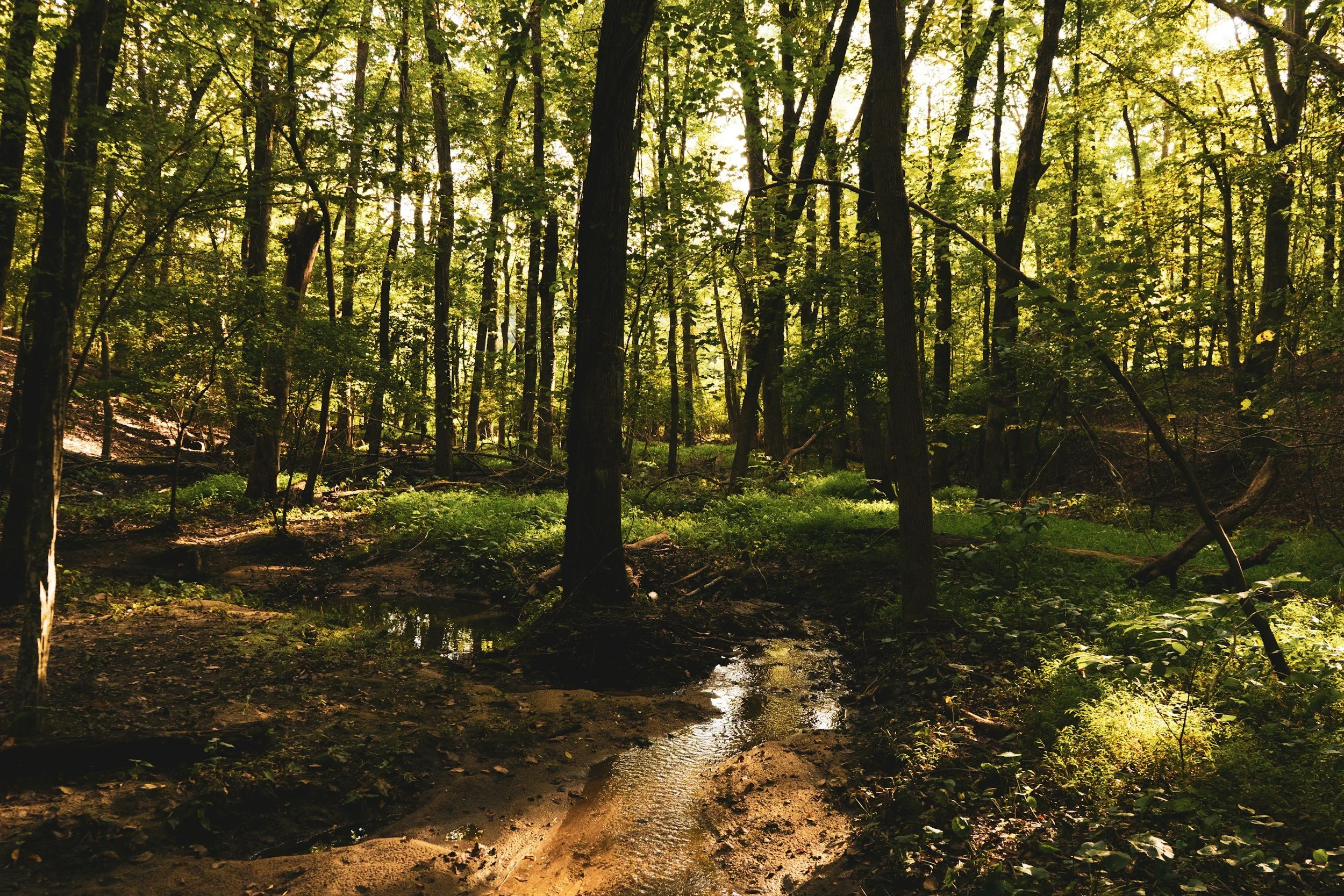 The Principles of Effective Land Management: Building a Legacy from the Ground Up