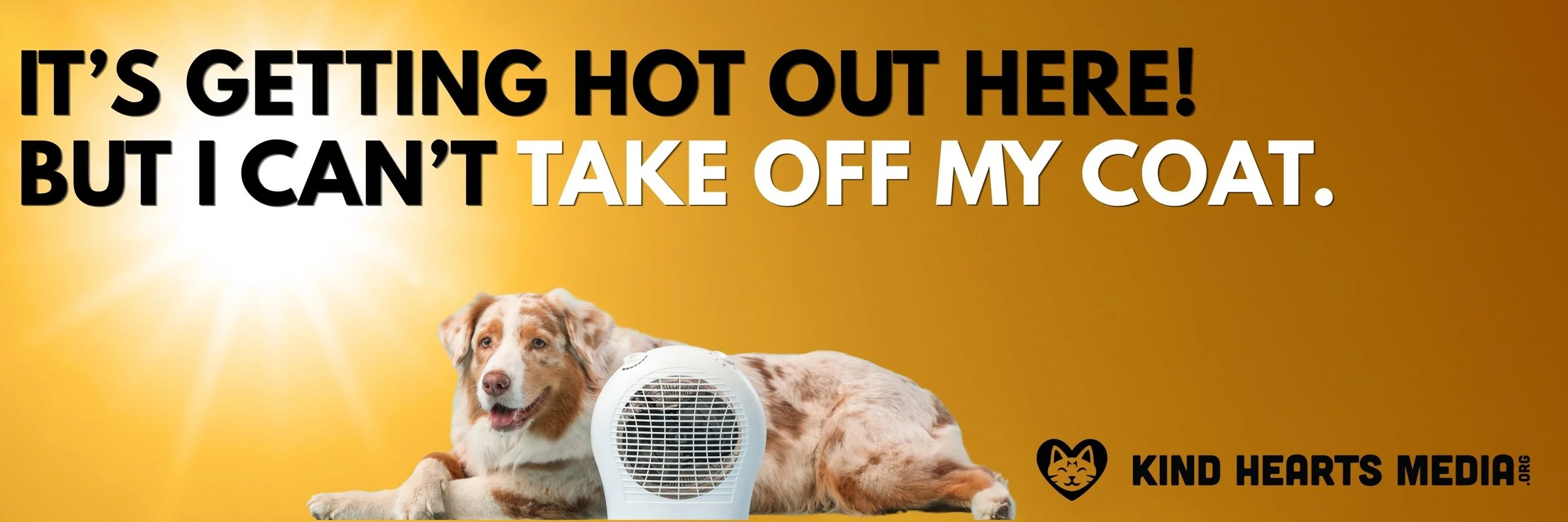 10'x30' it's getting hot.jpg