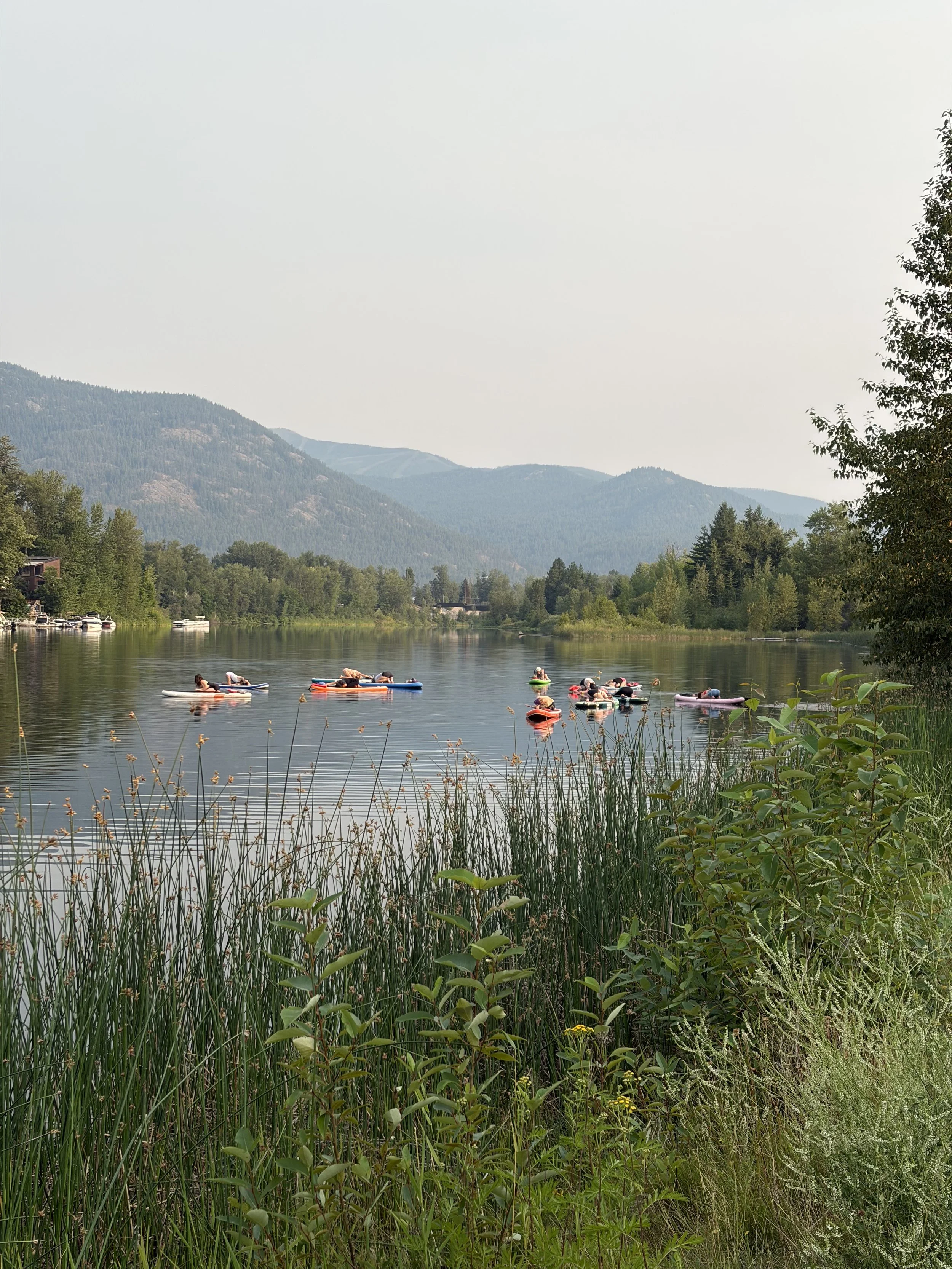 Mariela’s Sunday Thoughts: Stillness