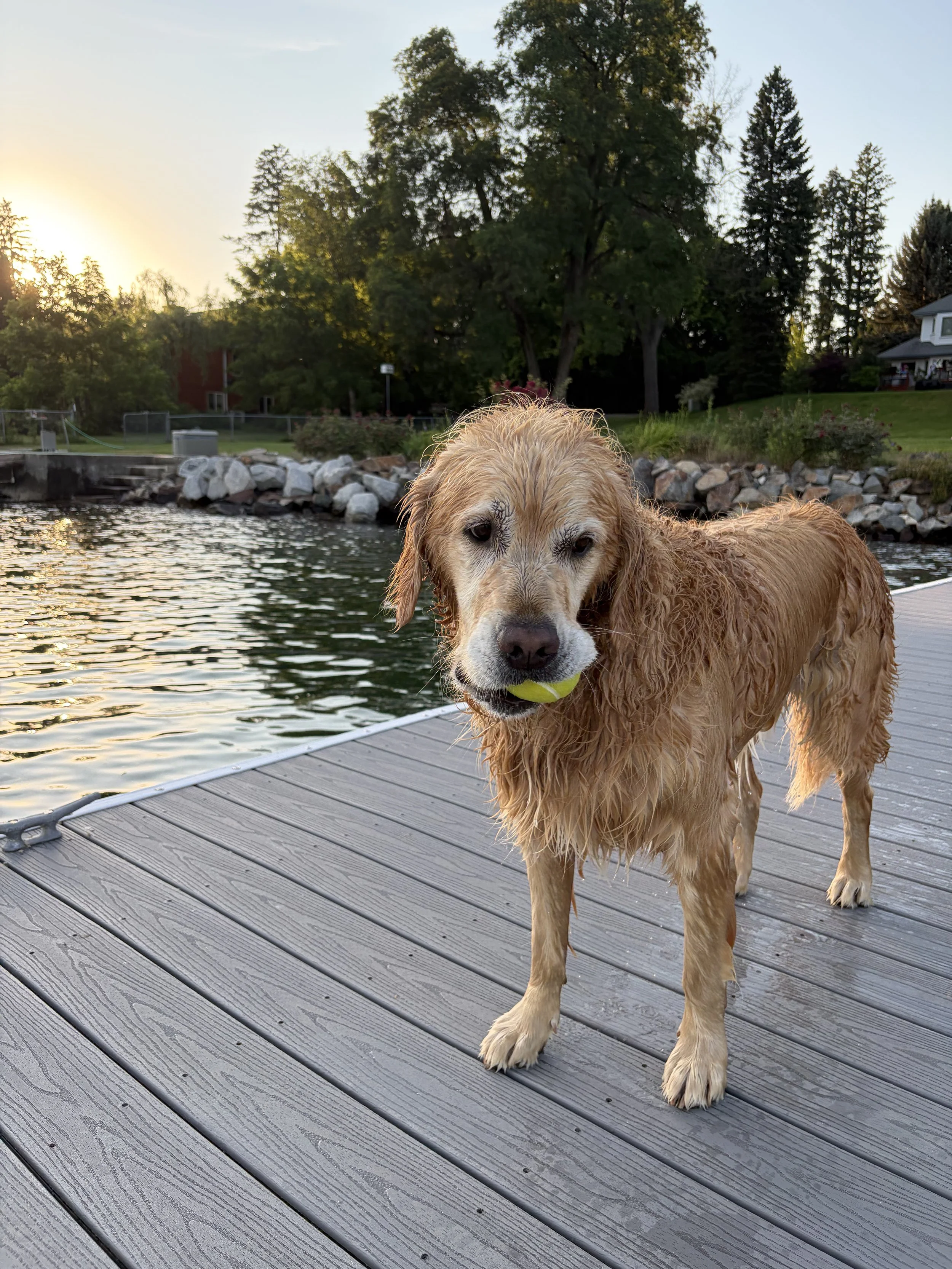 Mariela’s Sunday Thoughts: Charlie
