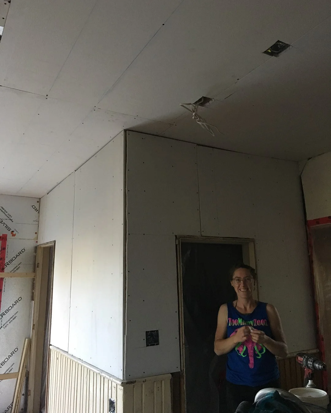drywall willa.jpg