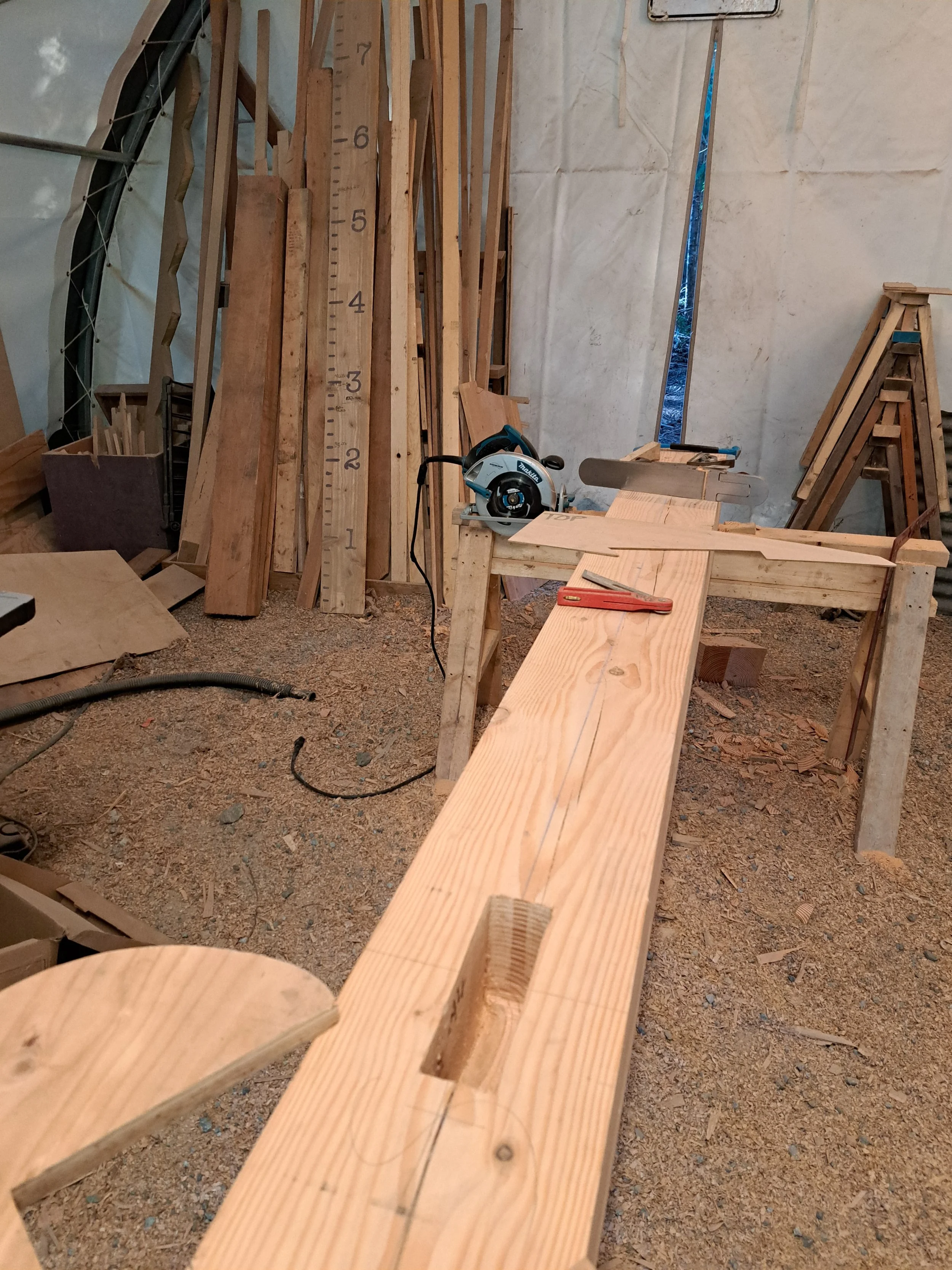 20230328_165249.jpg