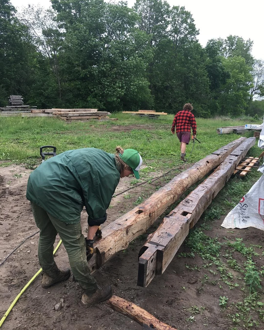 willa timber GTF.jpg