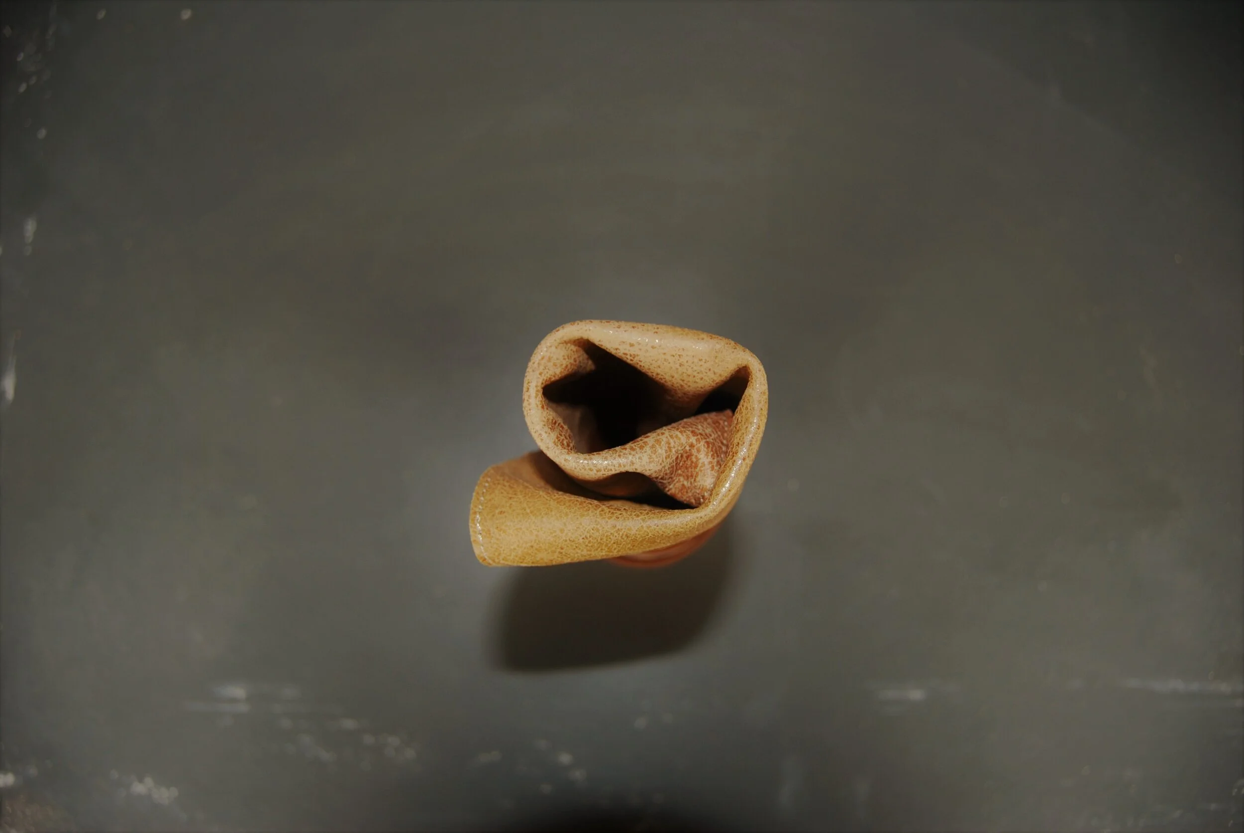 DSC_0005.JPG