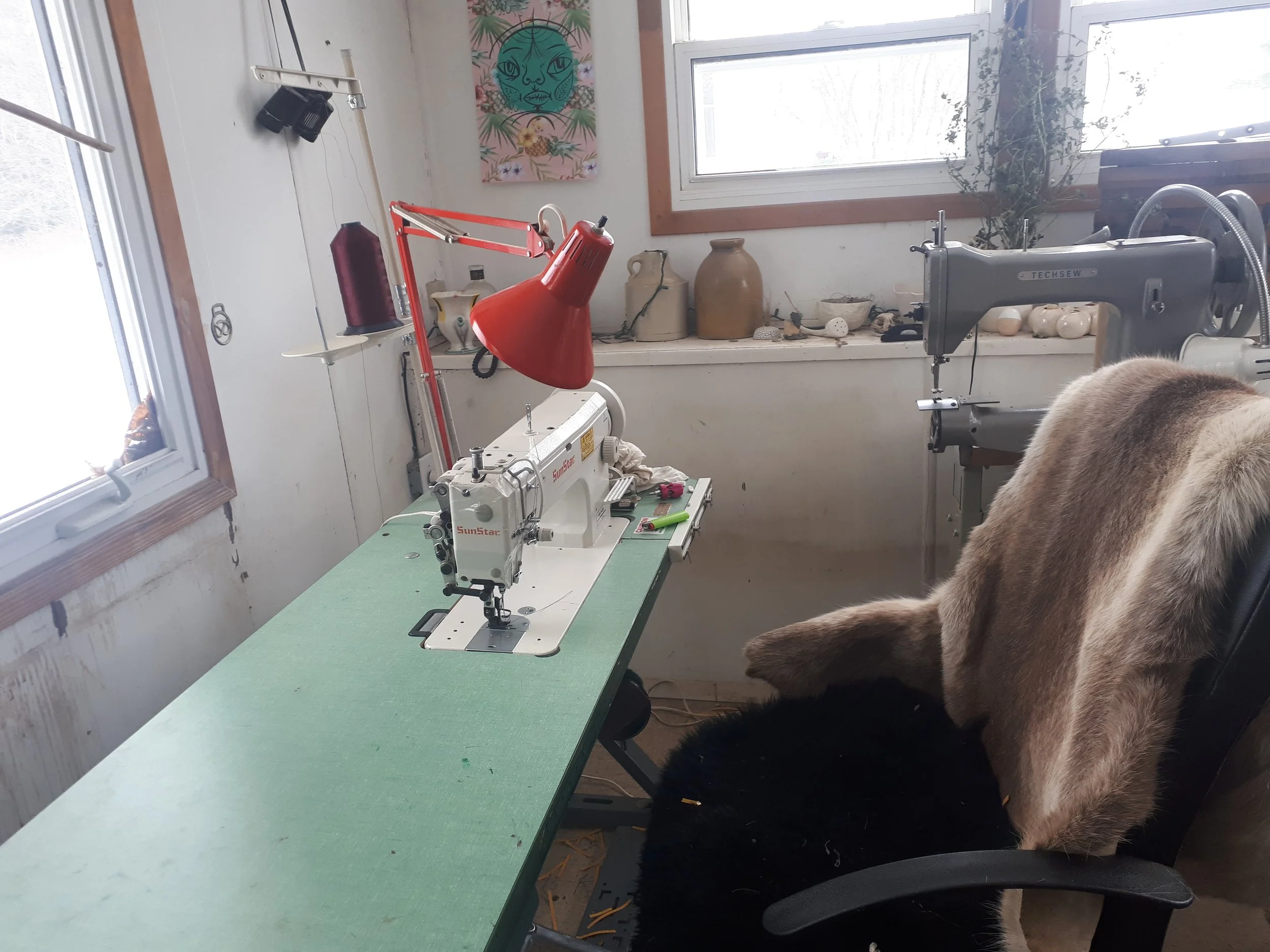 20190220_133806.jpg