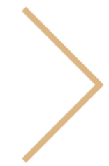 A volleyball with a palm tree hanging from a hammock in front of the beach, under a palm tree