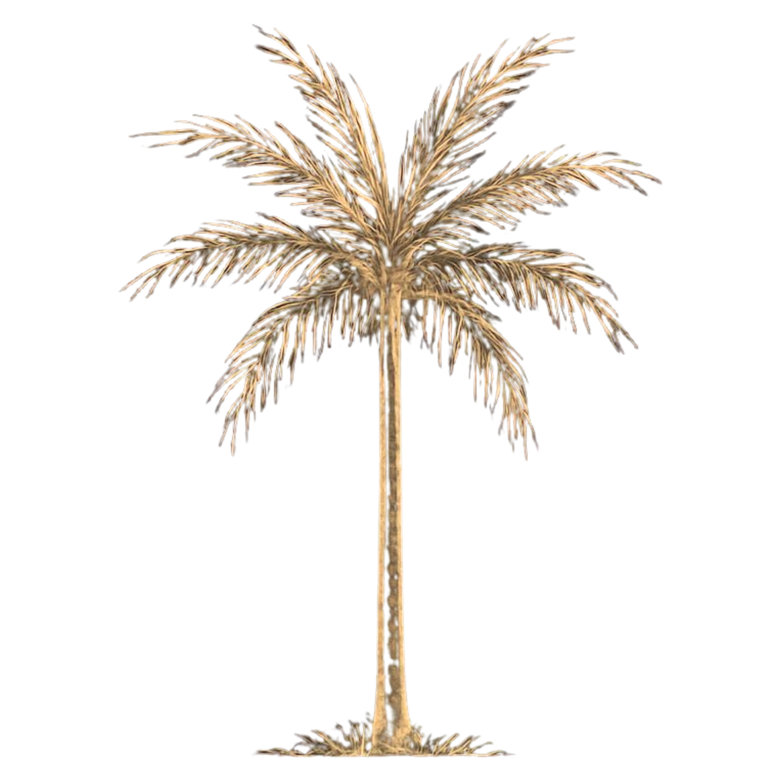 A digital illustration of a palm tree with a long, straight trunk and large, arching fronds against a black background.