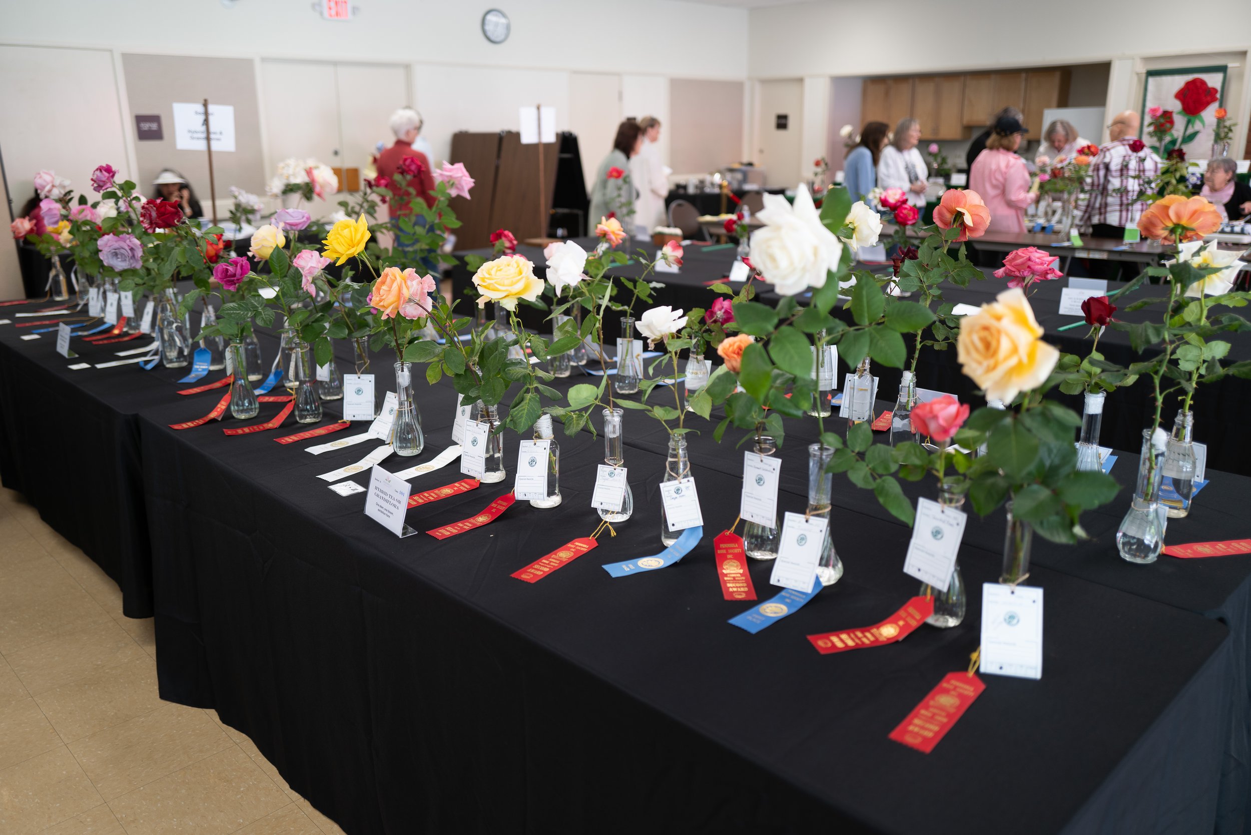annual_roseshow_2024_05_tables.jpg