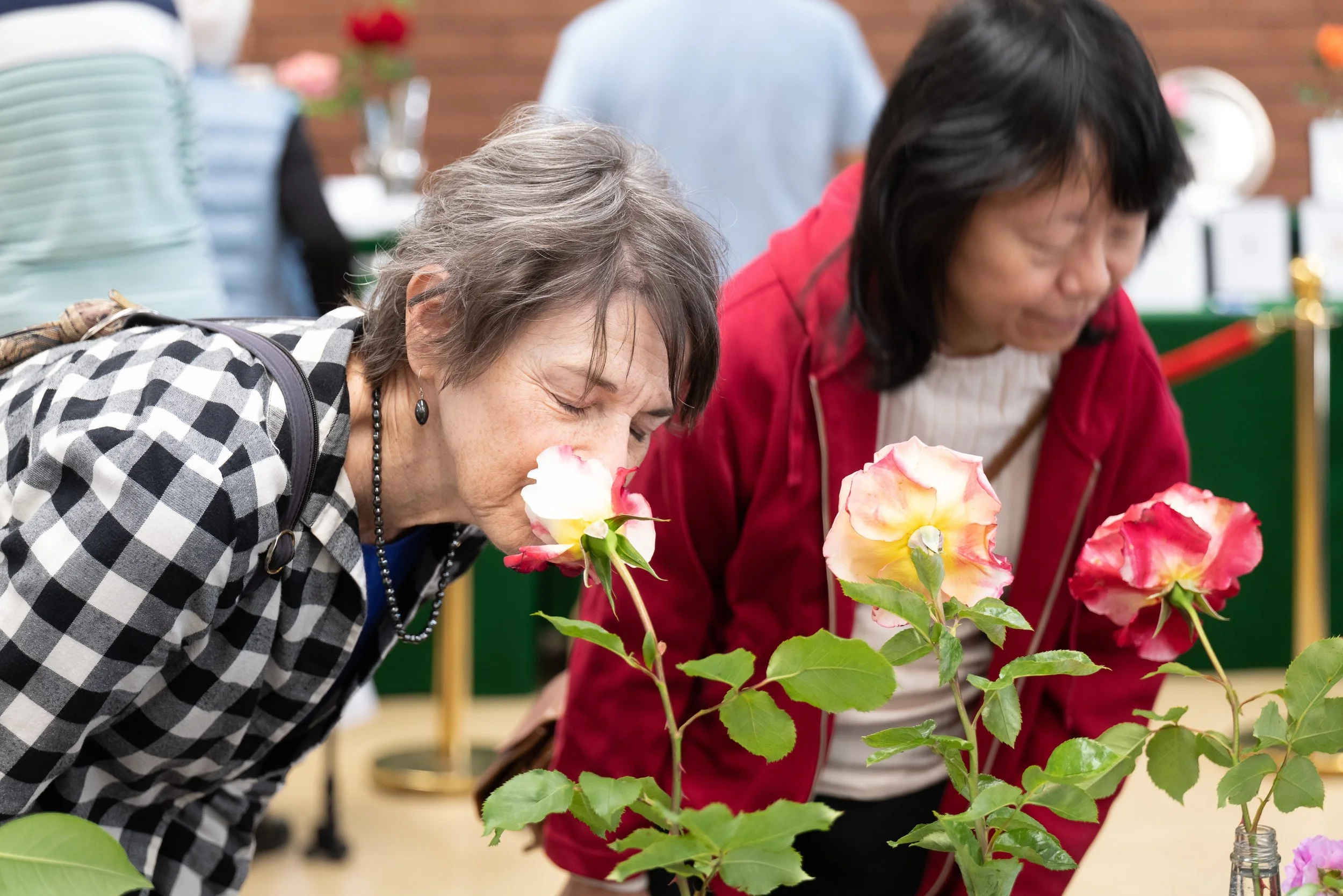annual_roseshow_2023_10_attendees.jpg