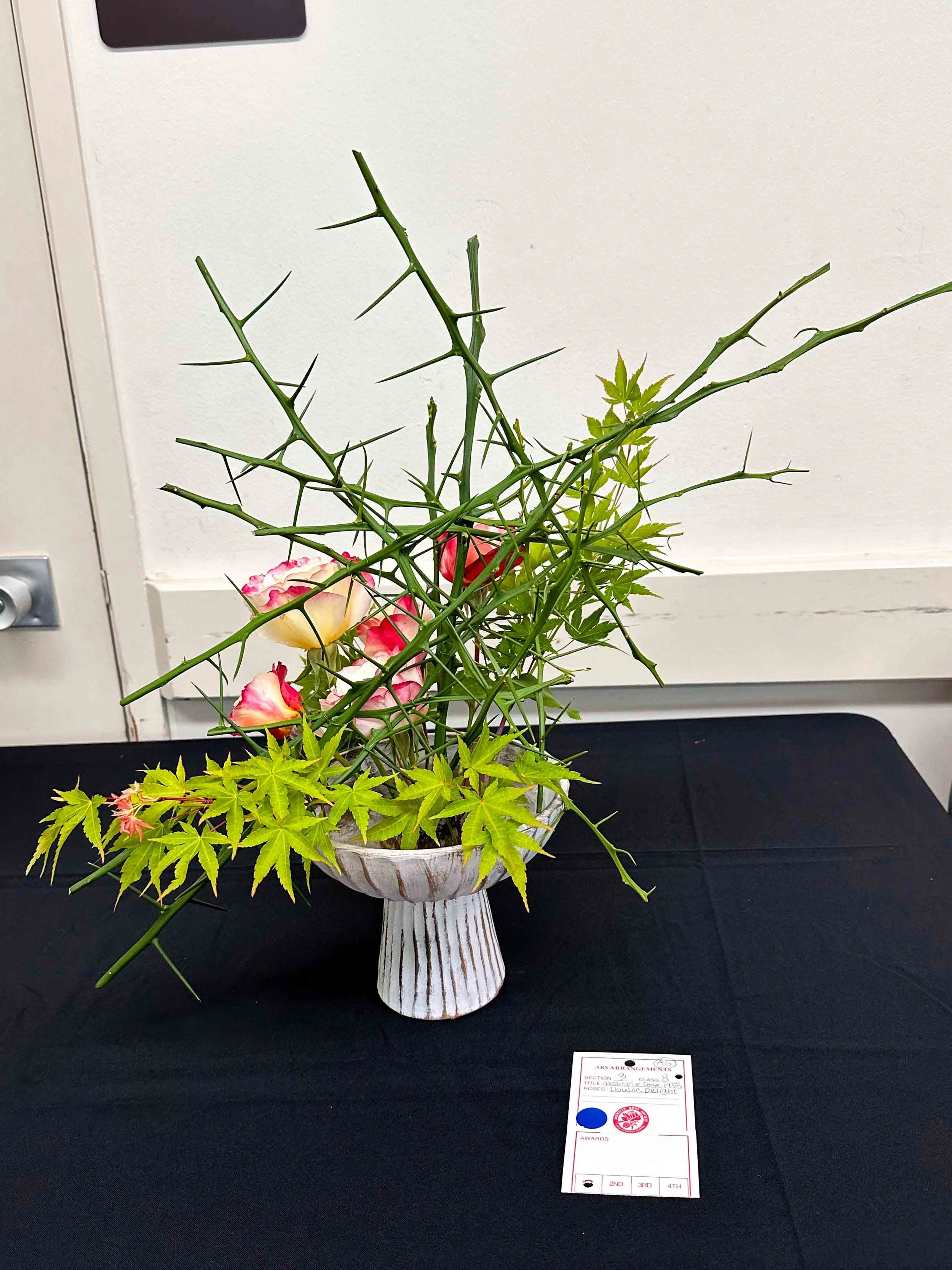 annual_roseshow_2026-27.jpg